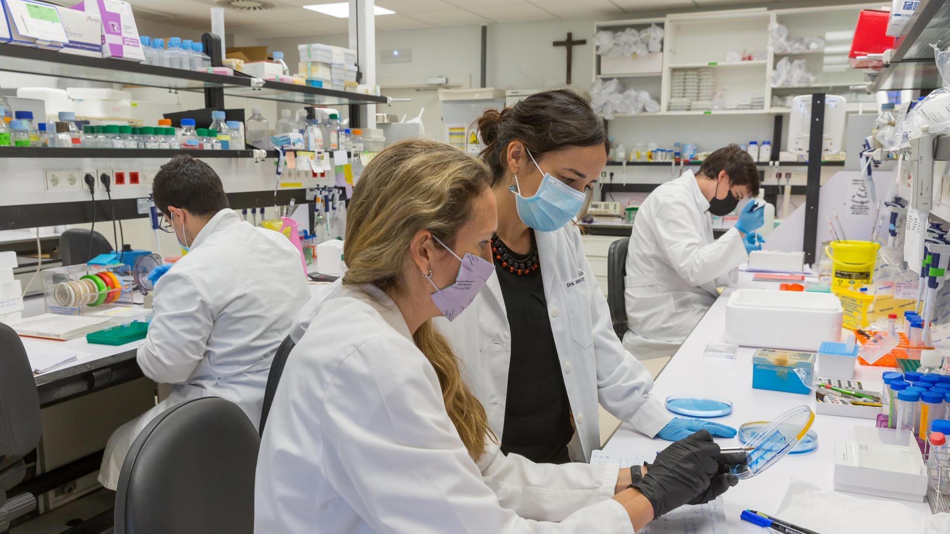 La Universidad de Navarra ha mejorado en docencia e investigación respecto de la edición anterior
