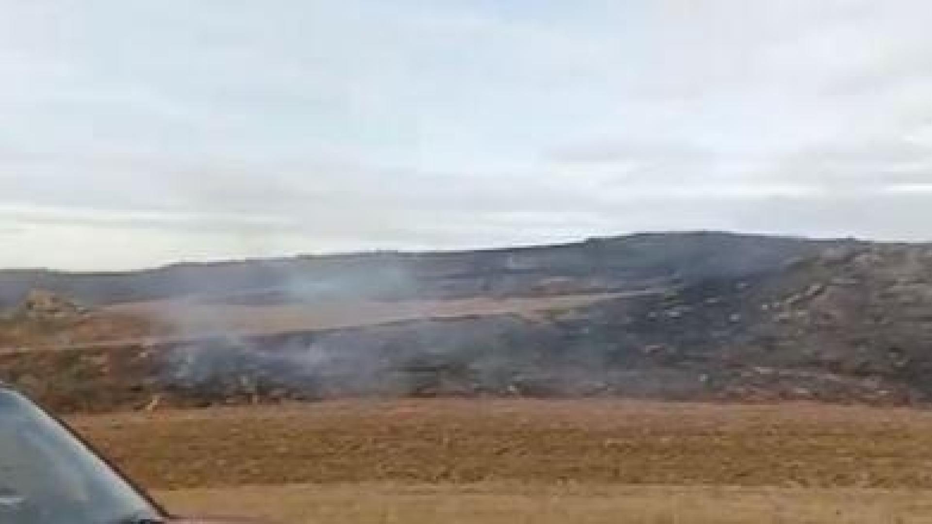Incendio de rastrojo y monte bajo en el raso de Candaraiz (Tafalla)