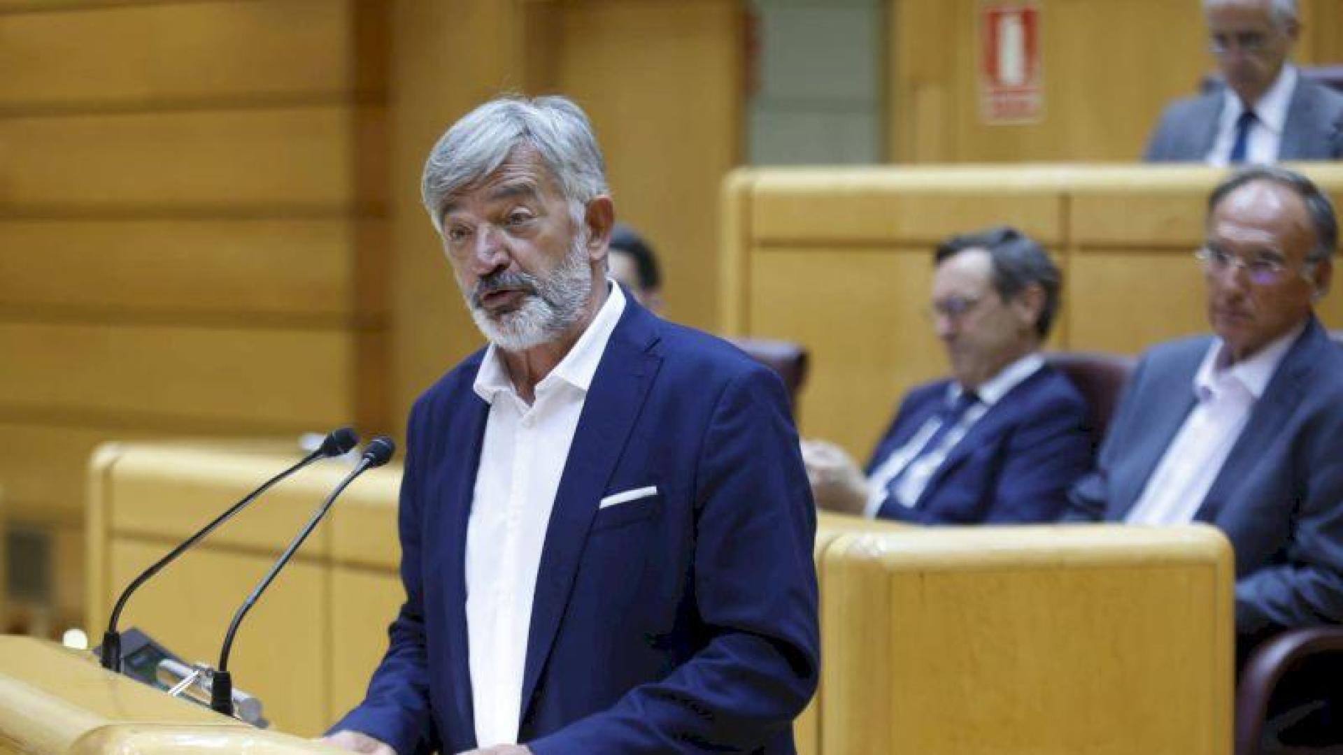 Koldo Martínez, en una intervención en el Senado