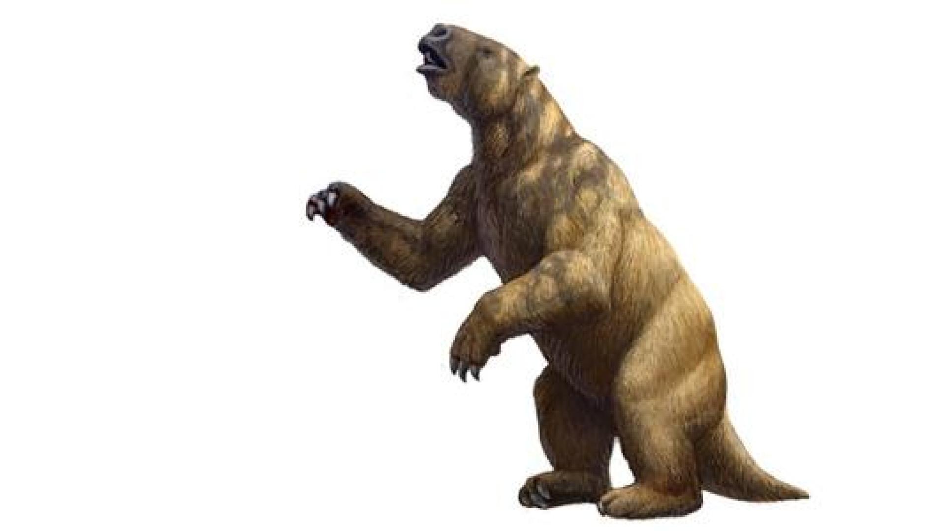 Dibujo representativo de un perezoso gigante