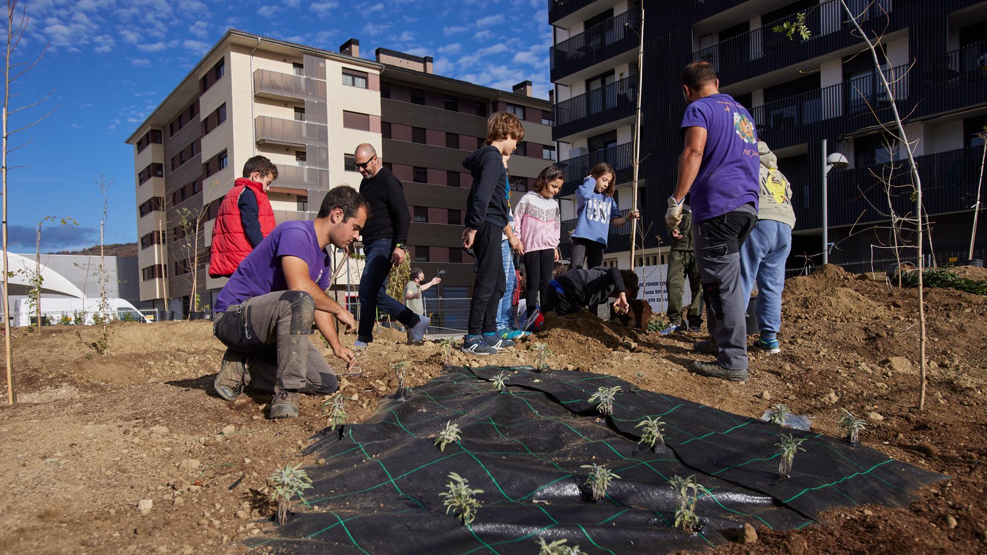 Un momento de la plantación de ayer. Se espera que en cinco años dé “sus frutos” y sombra