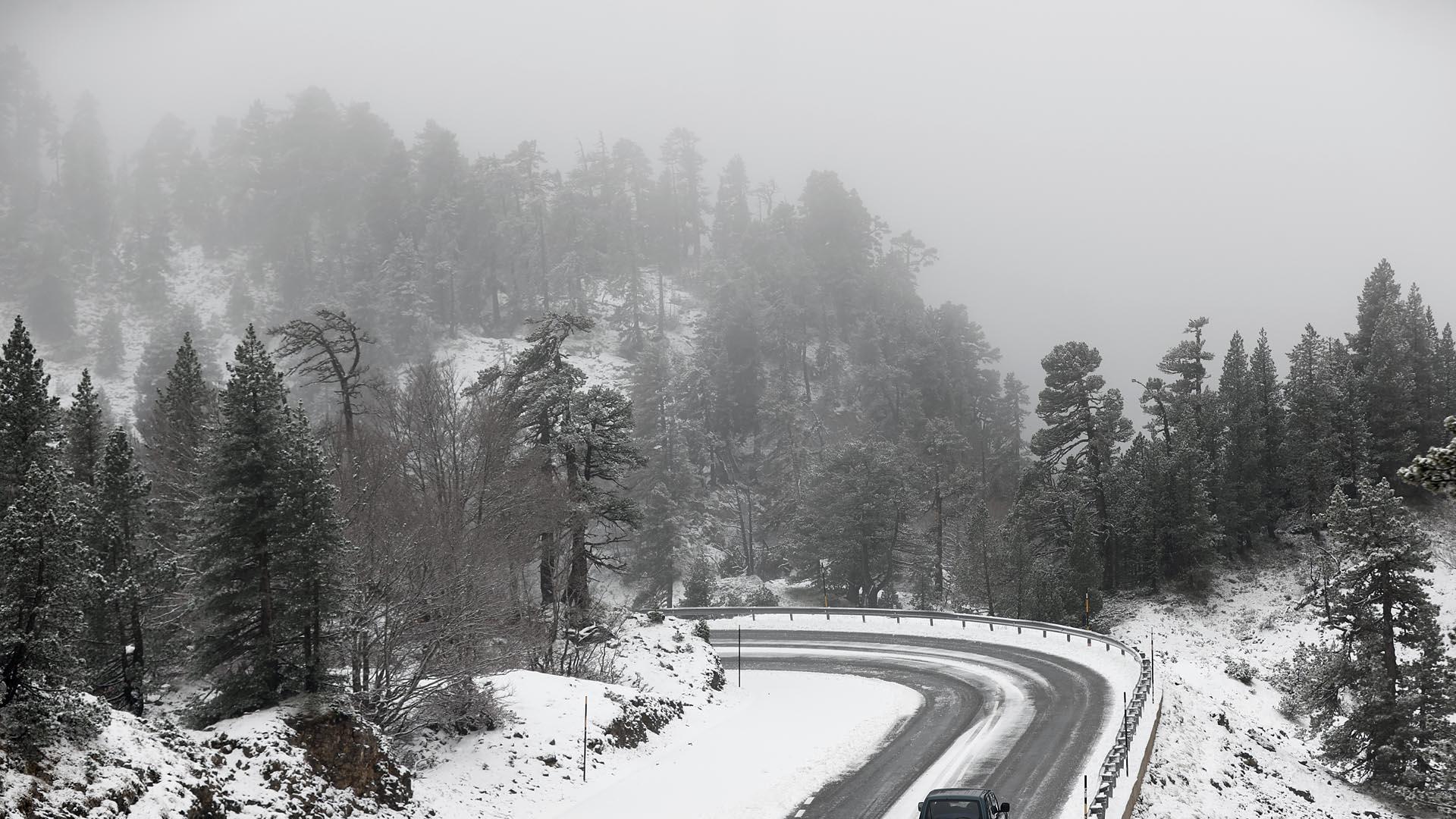 Nieve, este viernes 4 de noviembre, en Belagua.