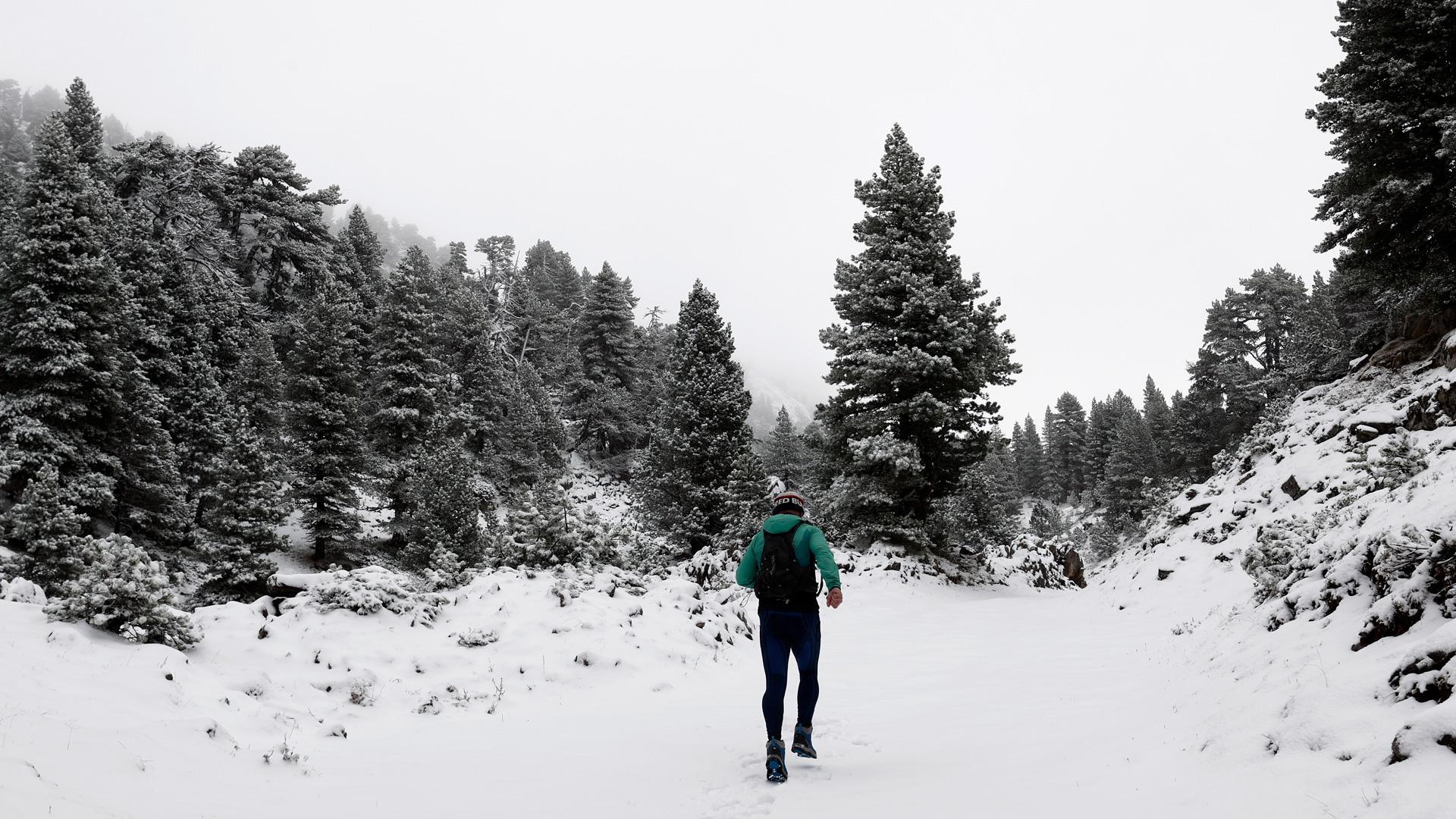 Un hombre corre por Belagua, que ha recibido ya la primera nevada