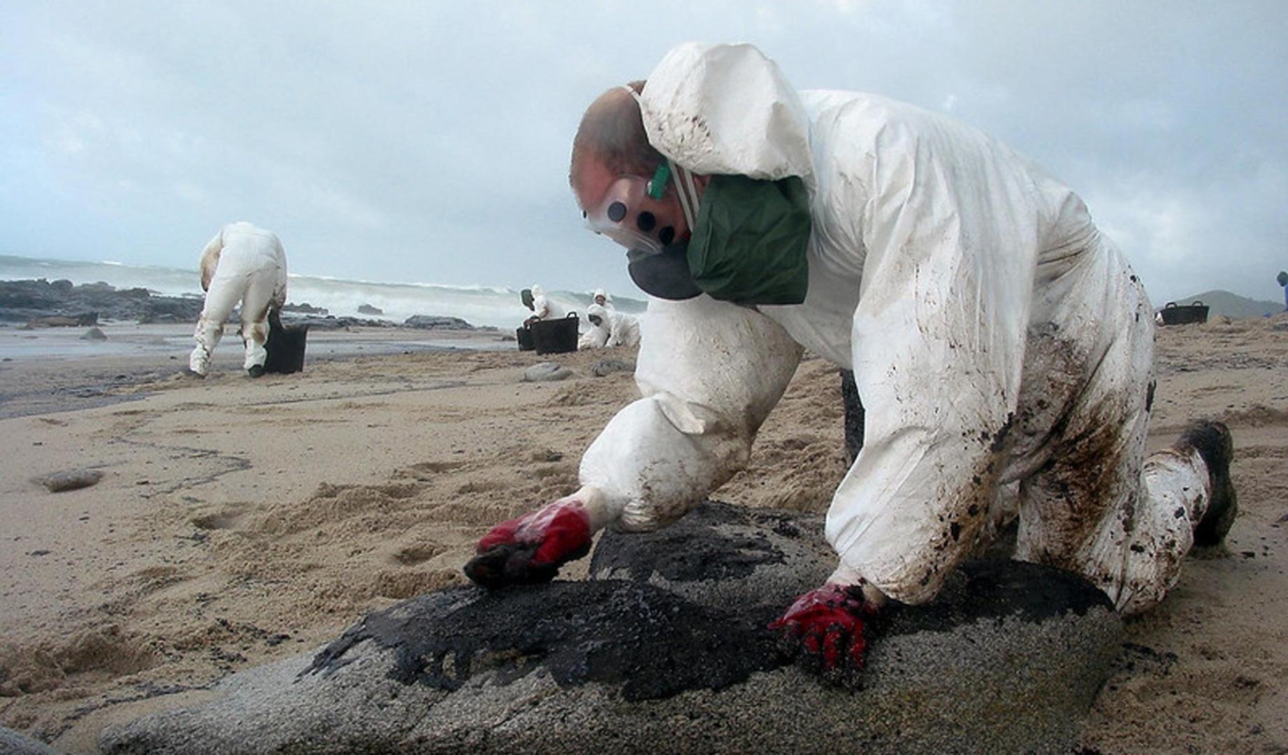 Voluntarios limpiando los hidrocarburos en las playas gallegas.