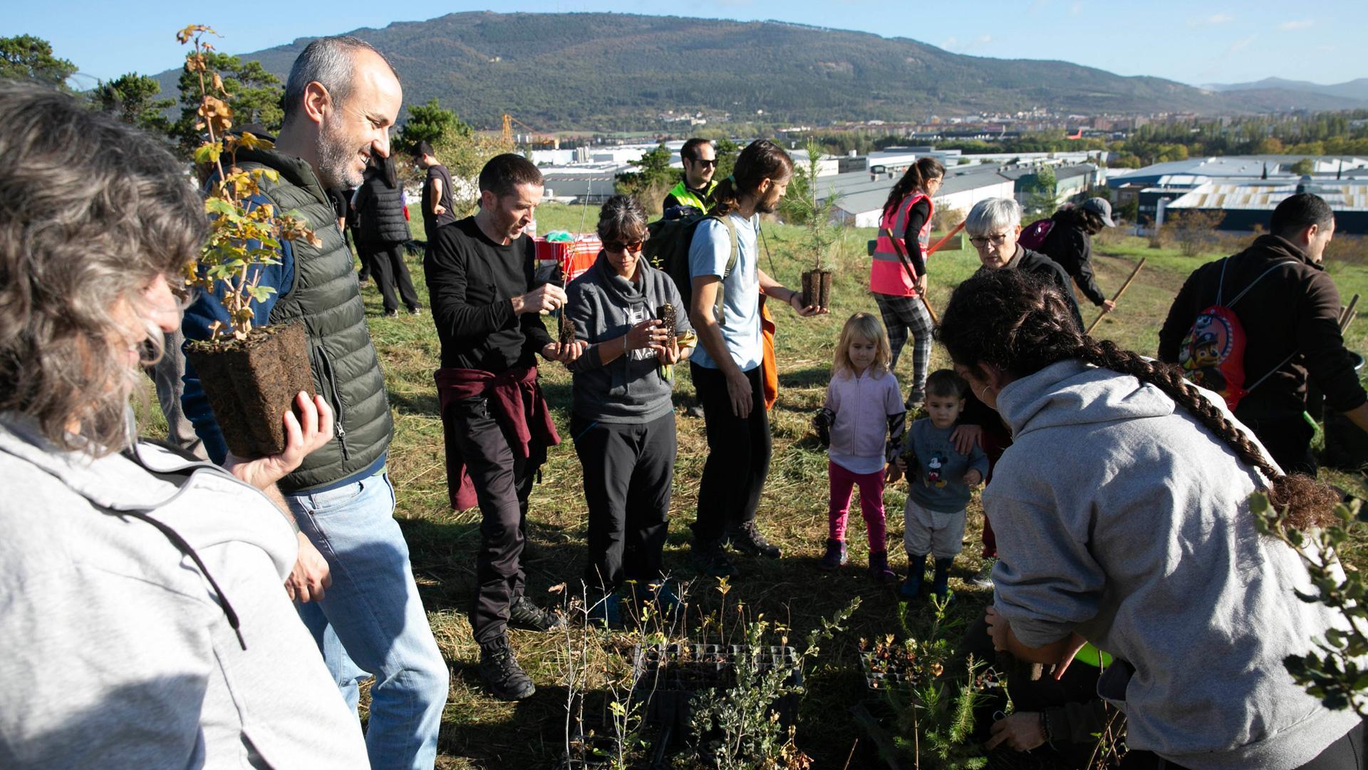 68 personas voluntarias, acompañadas por alumnado del ciclo de Educación y Calidad Ambiental del CI Agroforestal, técnicas municipales y alumnado de la escuela taller de Jardinería, plantarán ejemplares pequeños de arces, nogales, pinos, serbales, encinas y robles, además de arbustos