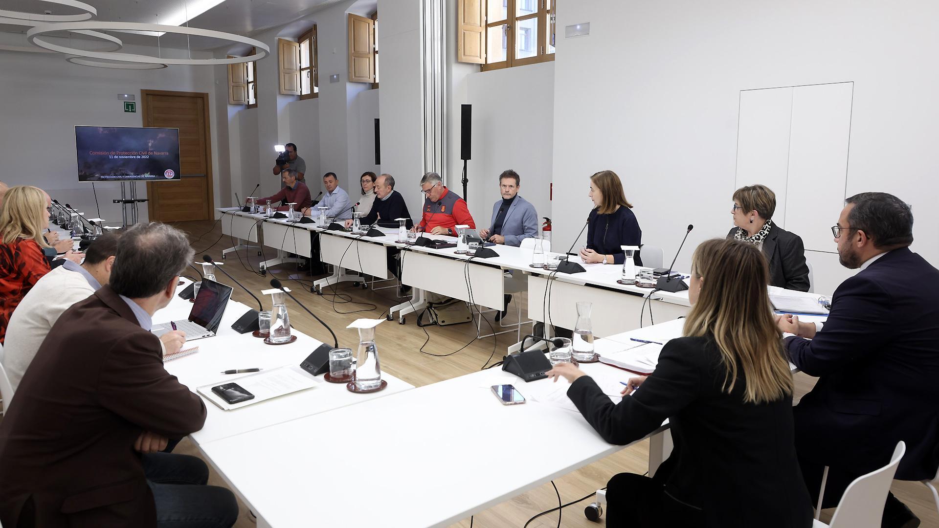 Imagen de la sesión de la Comisión, reunida en el Palacio de Navarra