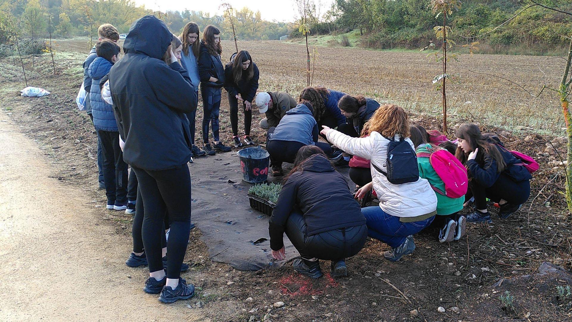 Un grupo de estudiantes durante la plantación hecha este viernes