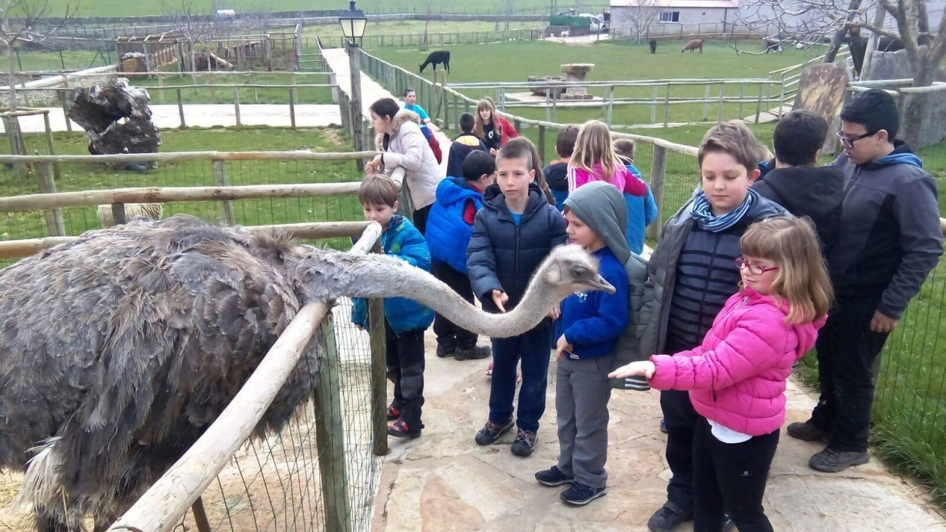 Granja Escuela Basabere, en Lezáun