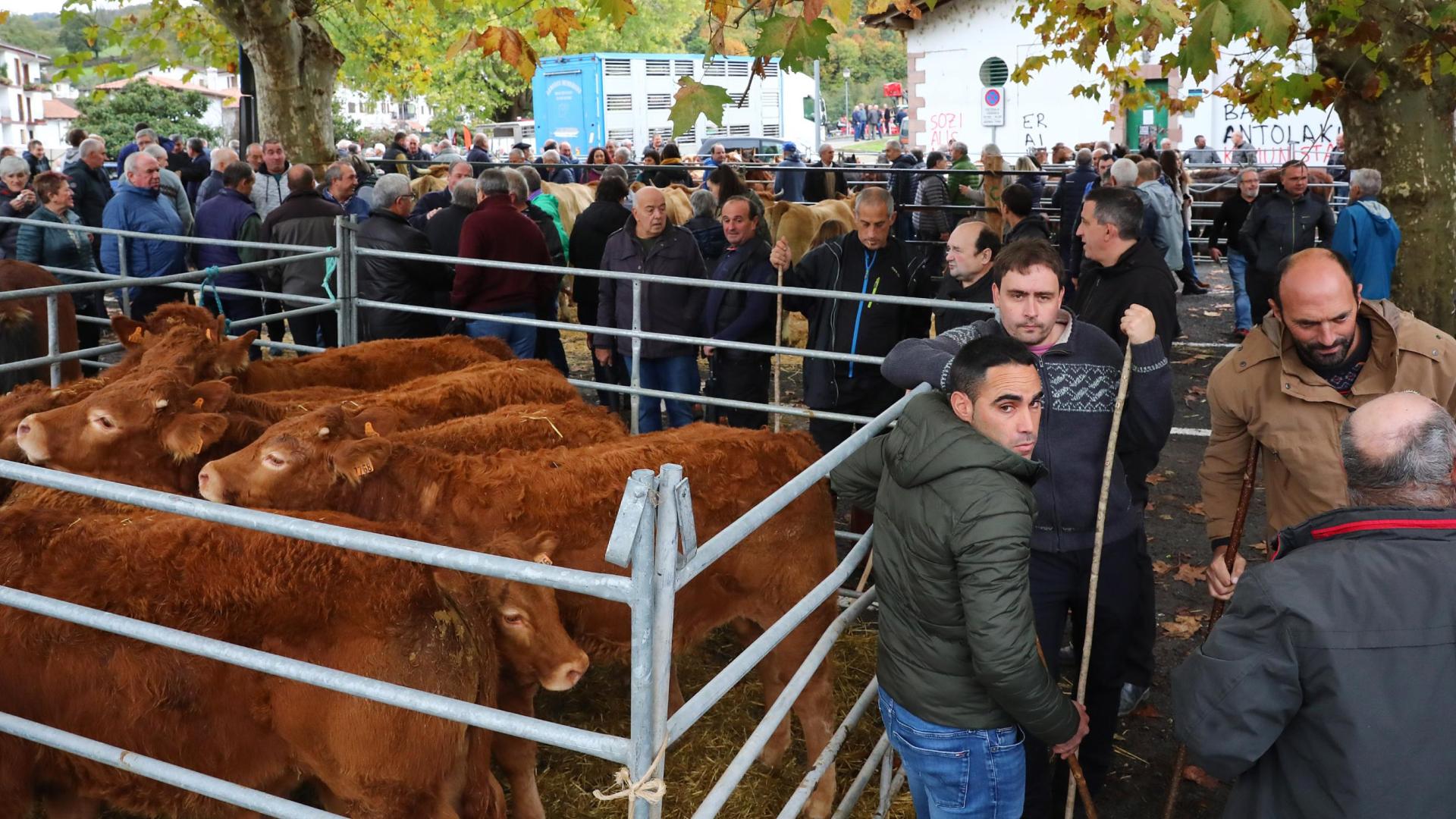 Imagen de la feria celebrada ayer en Santesteban