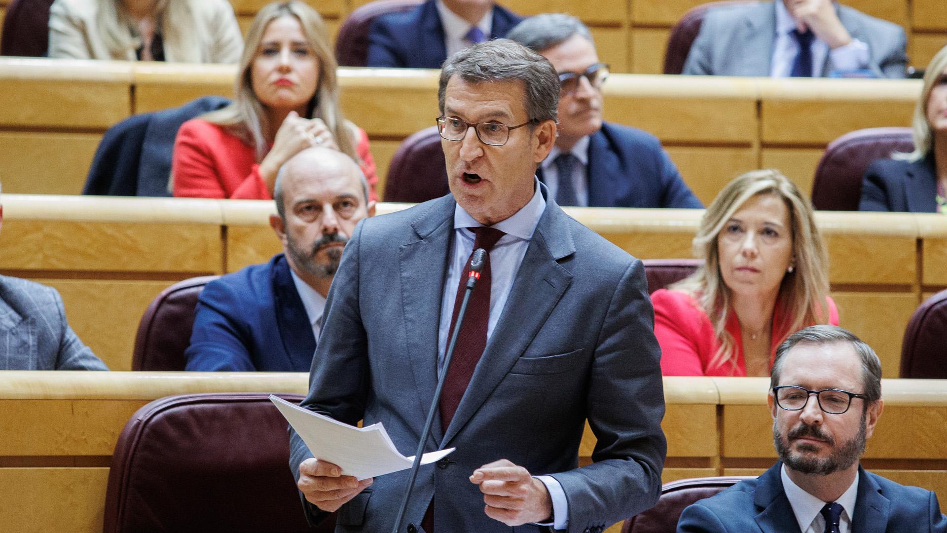 El líder del Partido Popular, Alberto Núñez Feijóo, en el Senado
