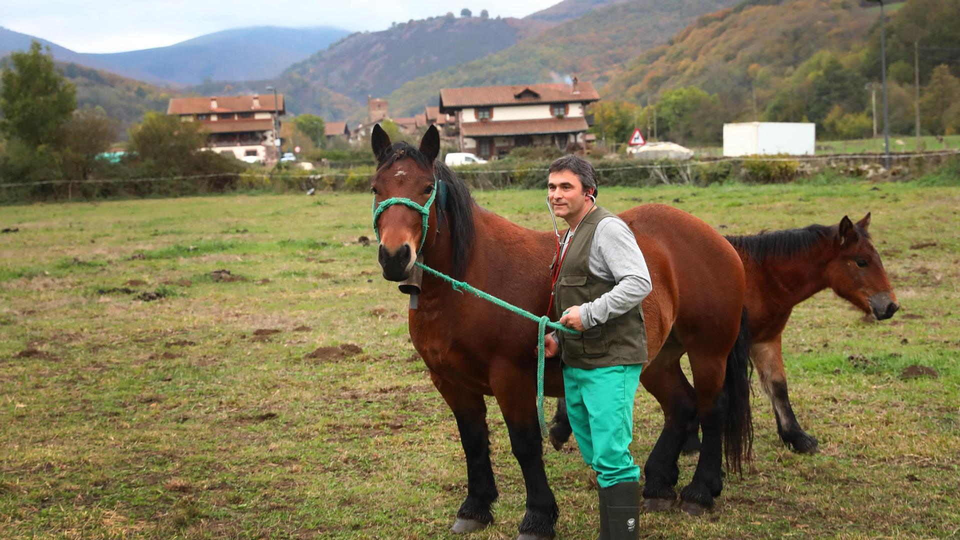 Luis Mariñelarena explora a una yegua en un prado de Lantz.
