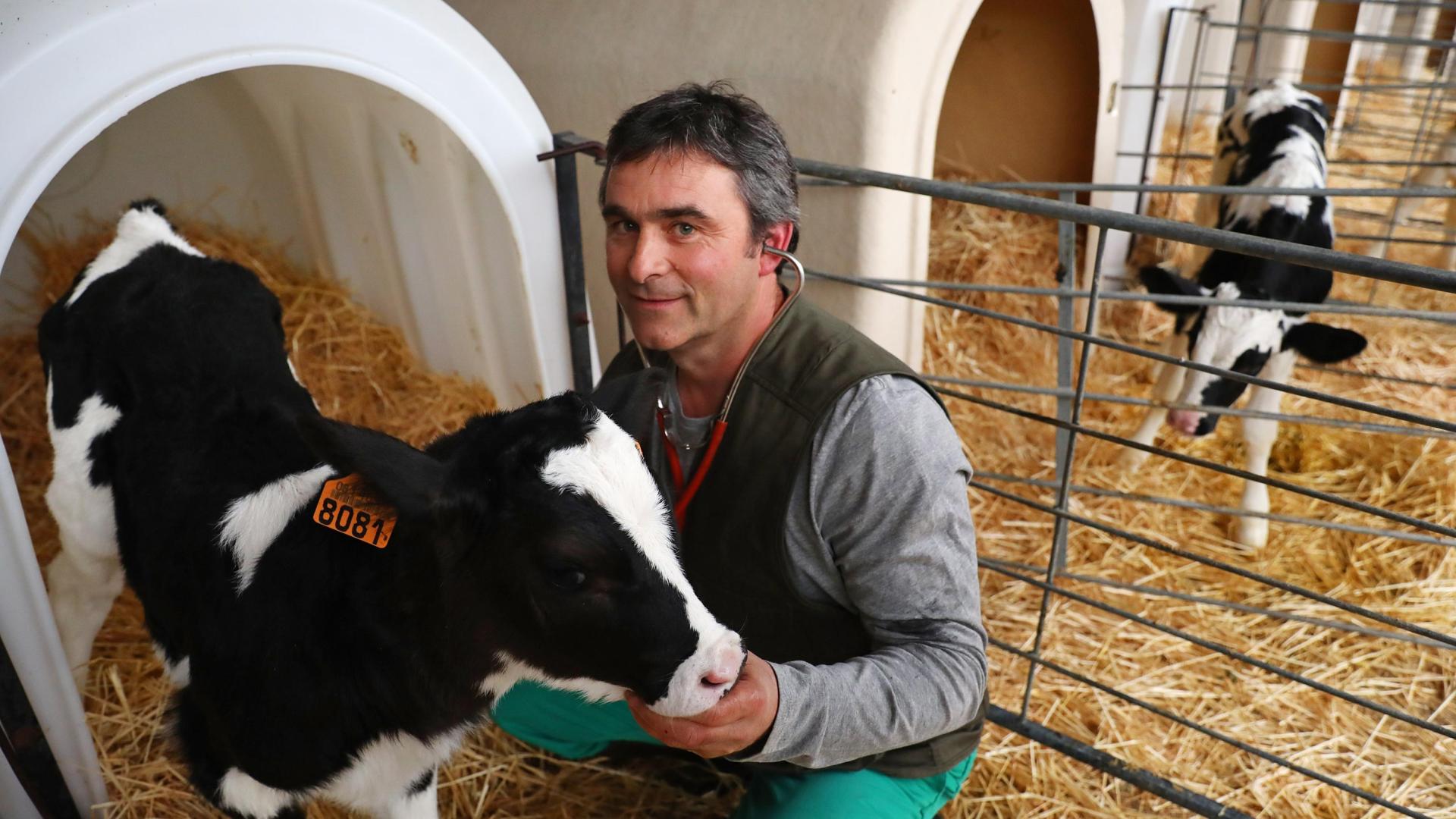 El veterinario con un ternero de pocos días en la granja de su hermano.