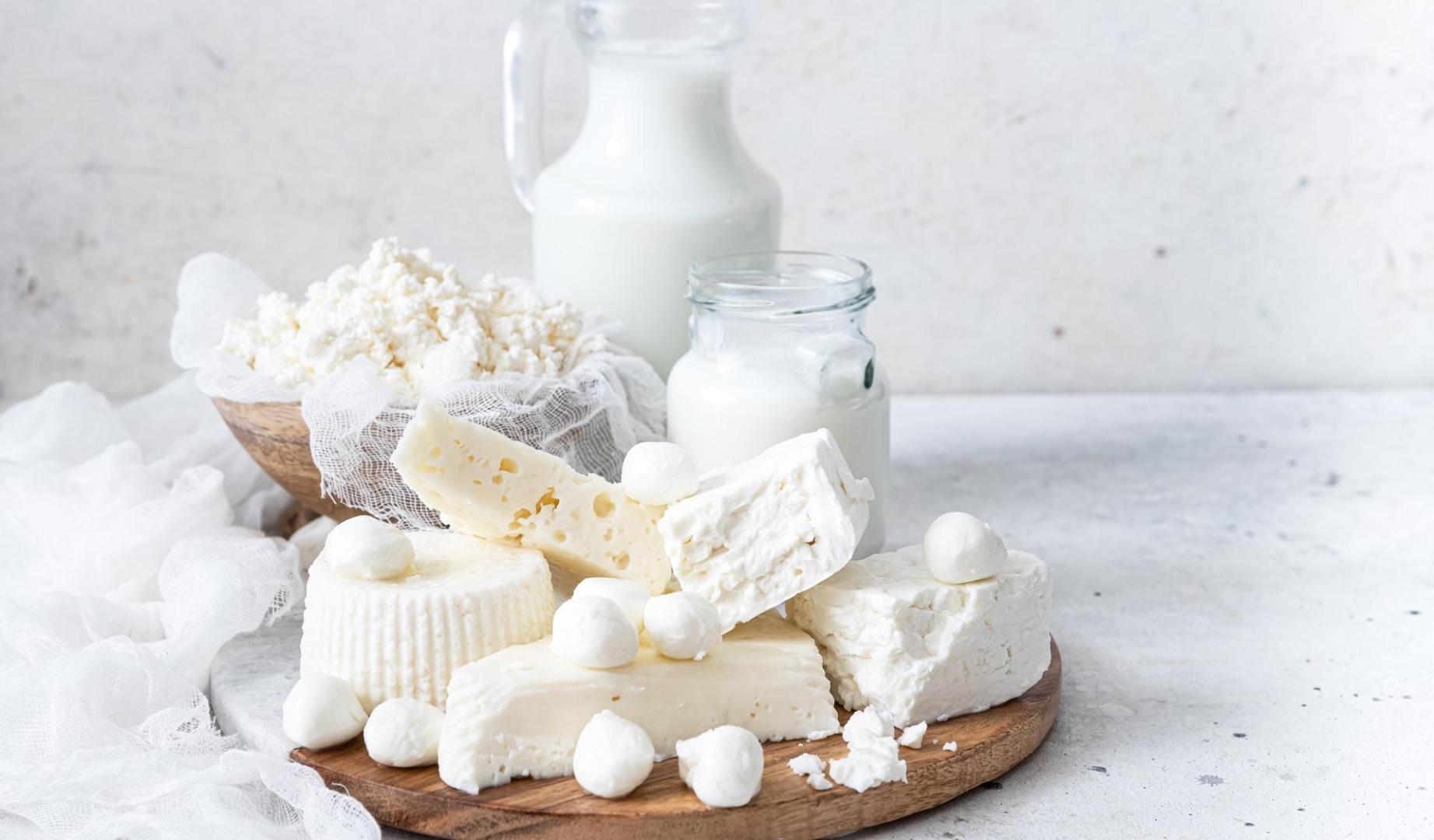 Los alimentos fermentados con bacterias, hongos y levaduras beneficiosos, como yogur, queso y kéfir, pueden contrarrestar el efecto perjudicial de los xenobióticos.