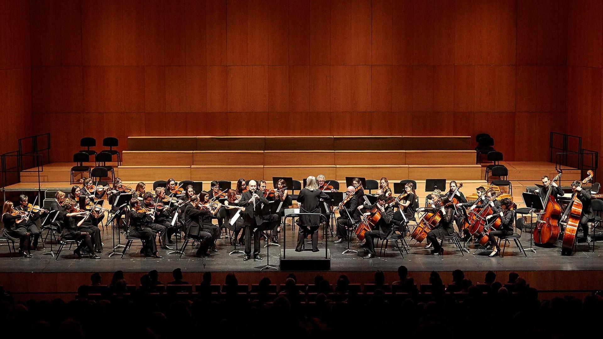 Concierto anterior de la Sinfonietta de Pamplona