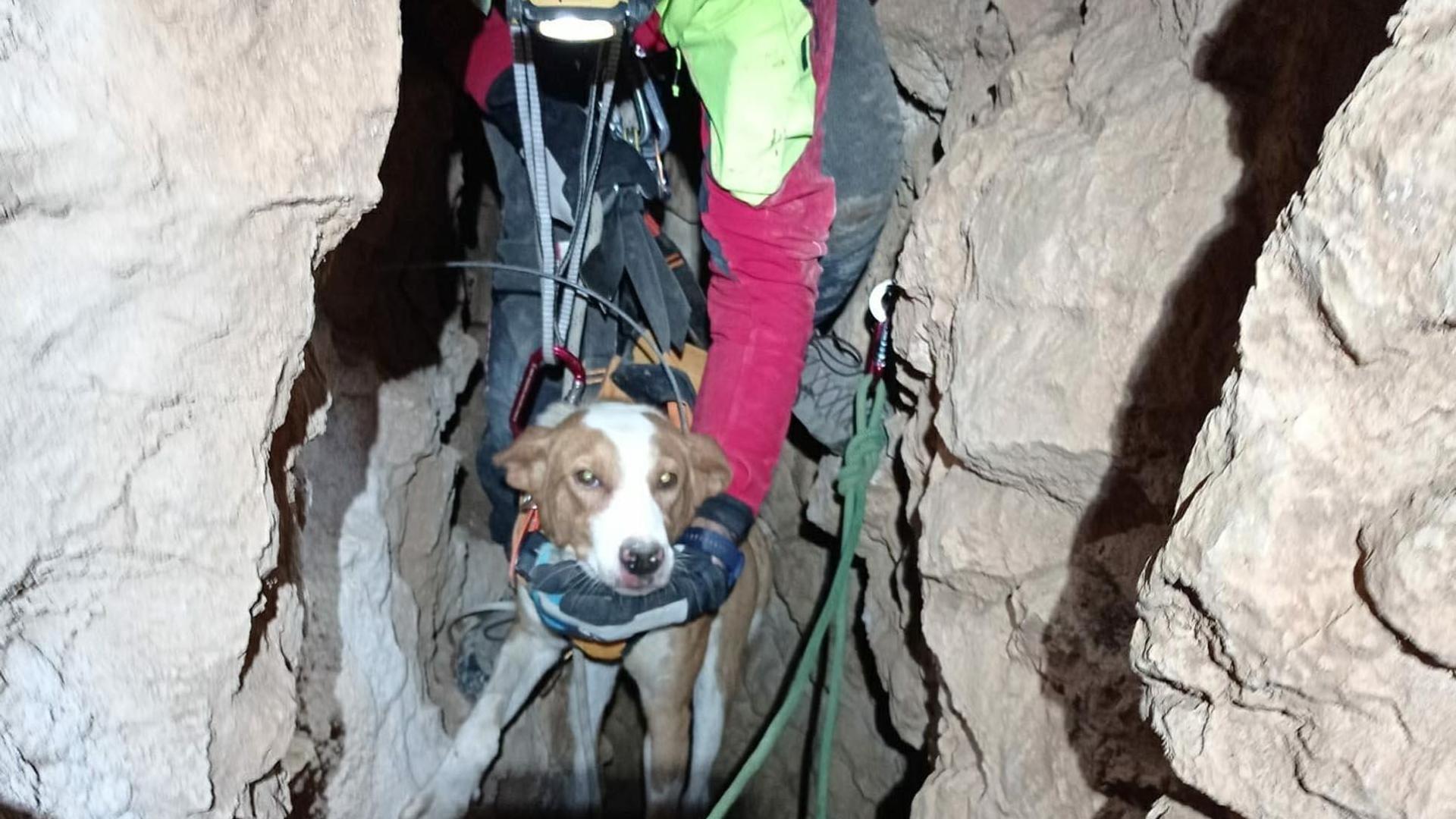 El perro 'Messi', atrapado en las galerías de la sima