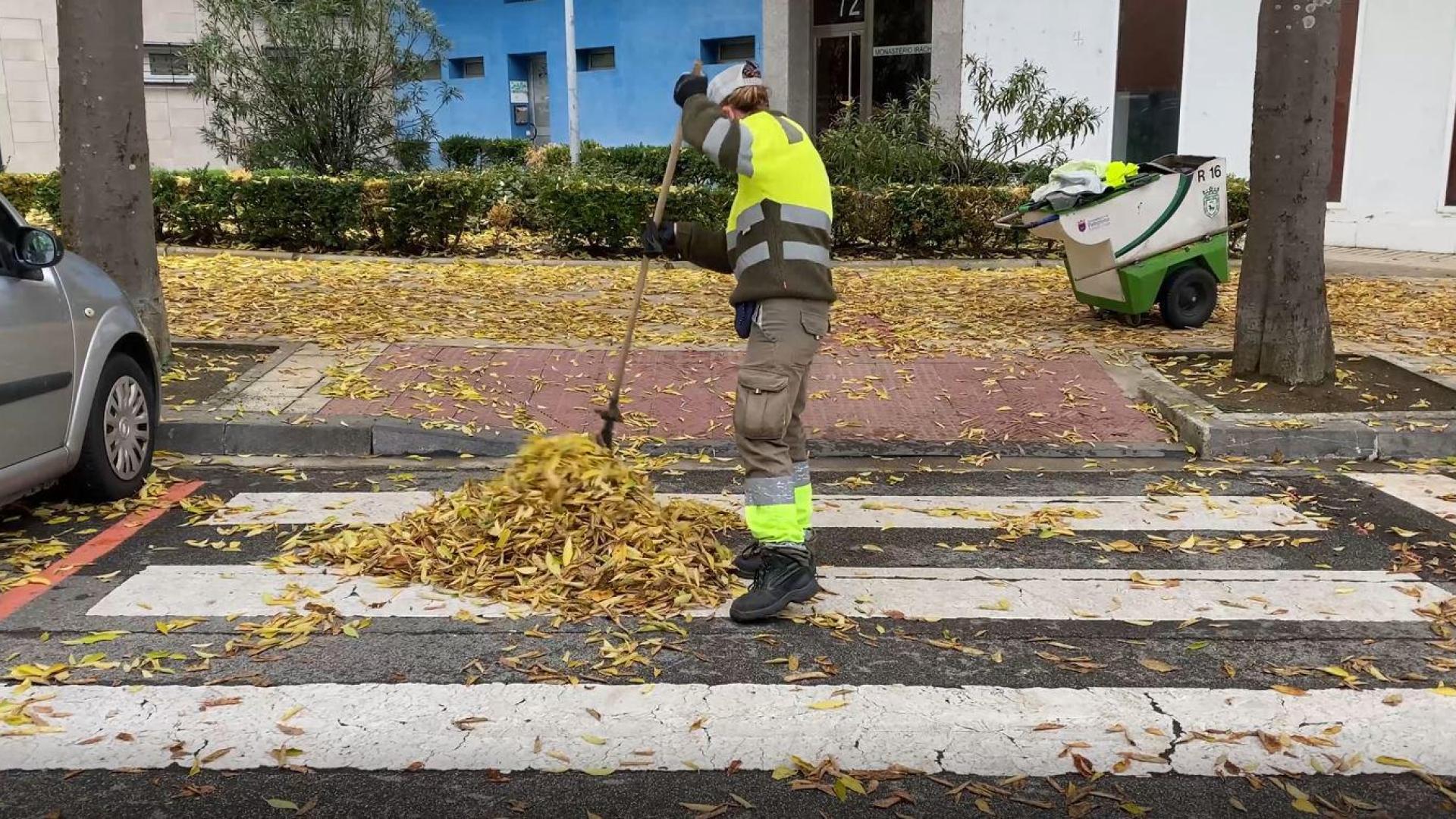Se estima que durante la temporada de la hoja participan activamente en este servicio unos 110 operarios distribuidos en tres turnos