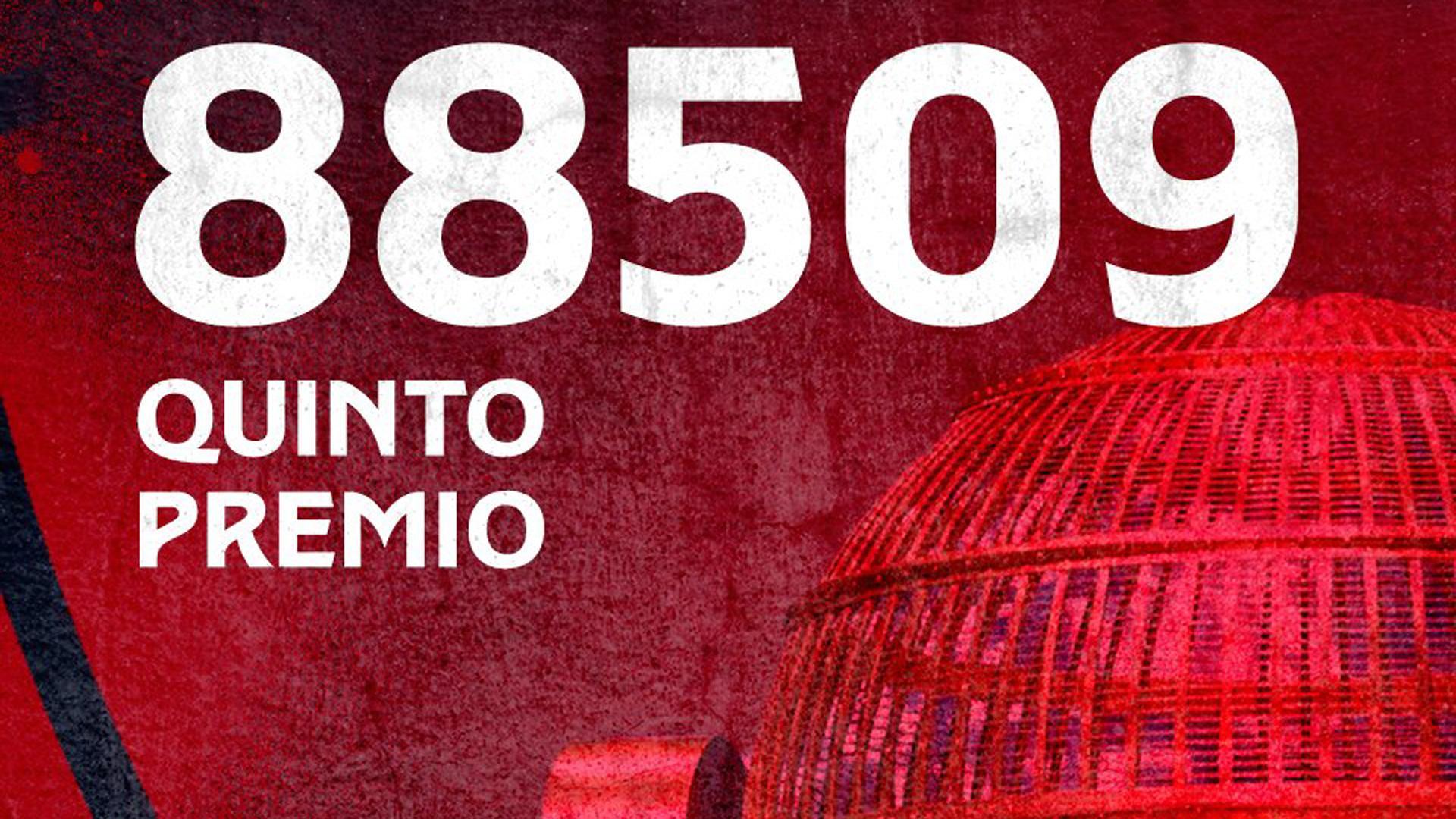 El número 88.509 de la Lotería de Navidad, quinto premio, fue vendido en la página web del C.A. Osasuna