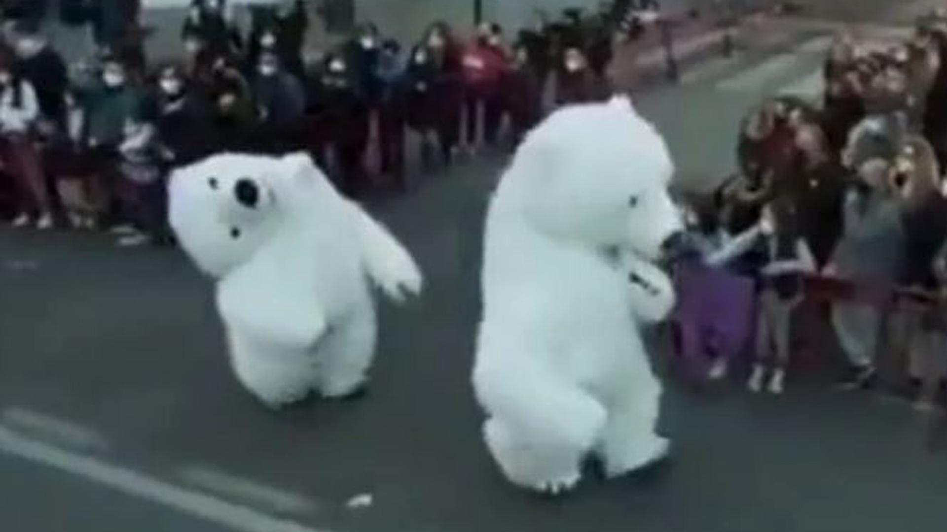 El oso de la cabalgata de Cádiz que se convirtió en un meme el pasado enero de 2022