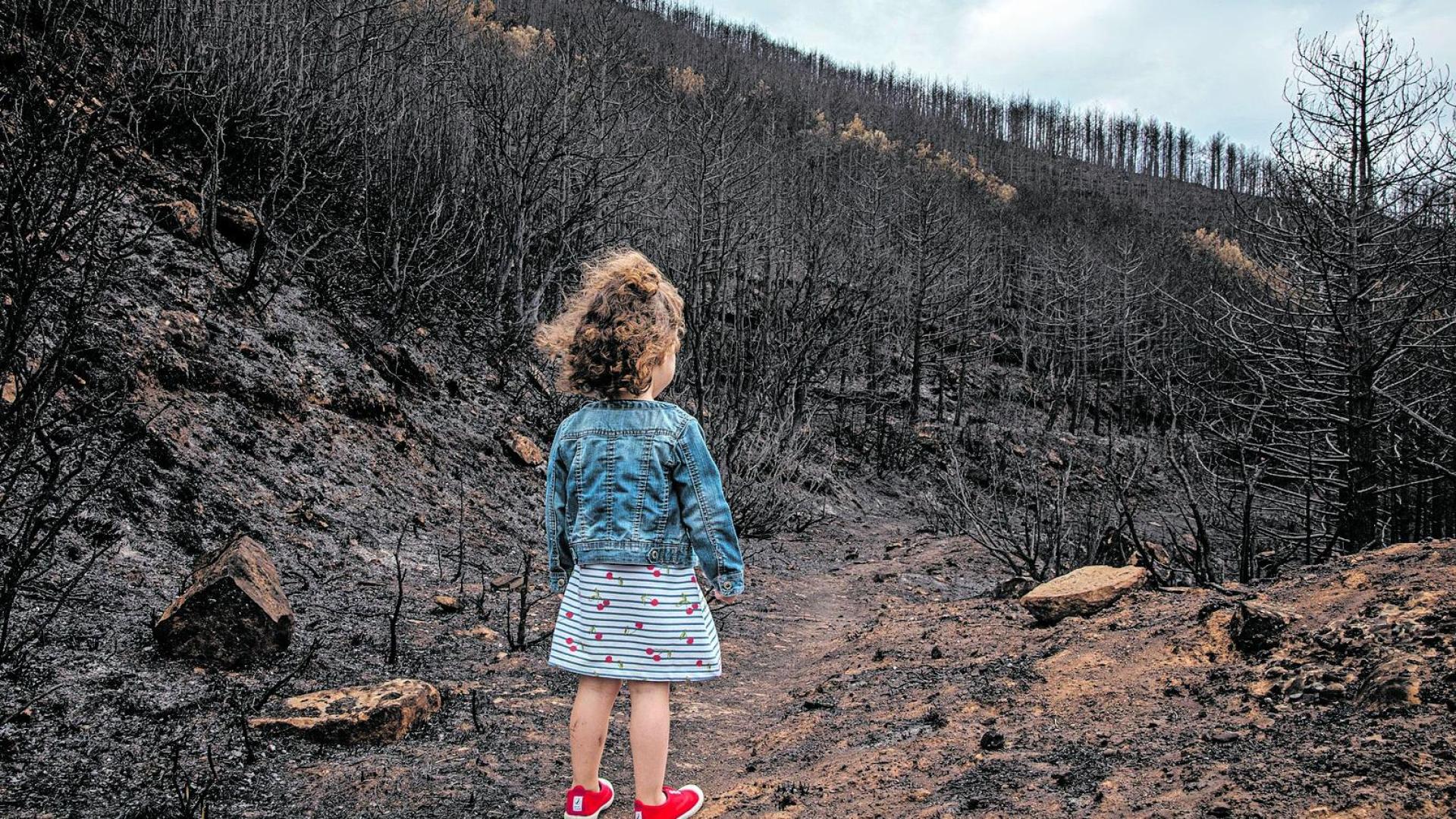 Emma Cerdán, de 3 años, observa el monte calcinado por las llamas en el término de Beragu en una imagen tomada el 25 de junio