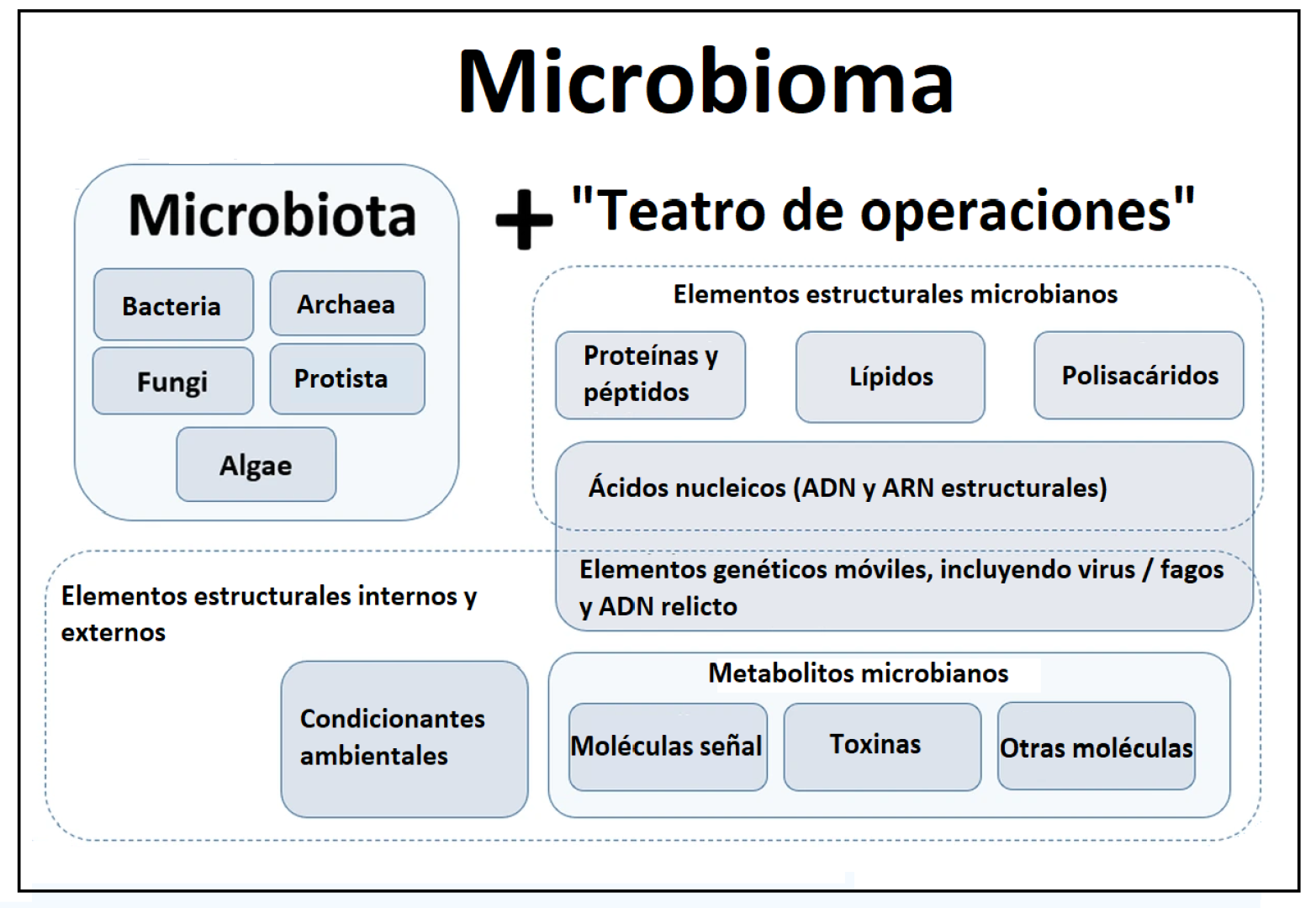 El término microbioma contiene tanto la microbiota (comunidad de microorganismos) como su teatro de actividad (elementos estructurales, metabolitos, moléculas señal y las condiciones ambientales del entorno). Modificado a partir de Berg et al. (2020).