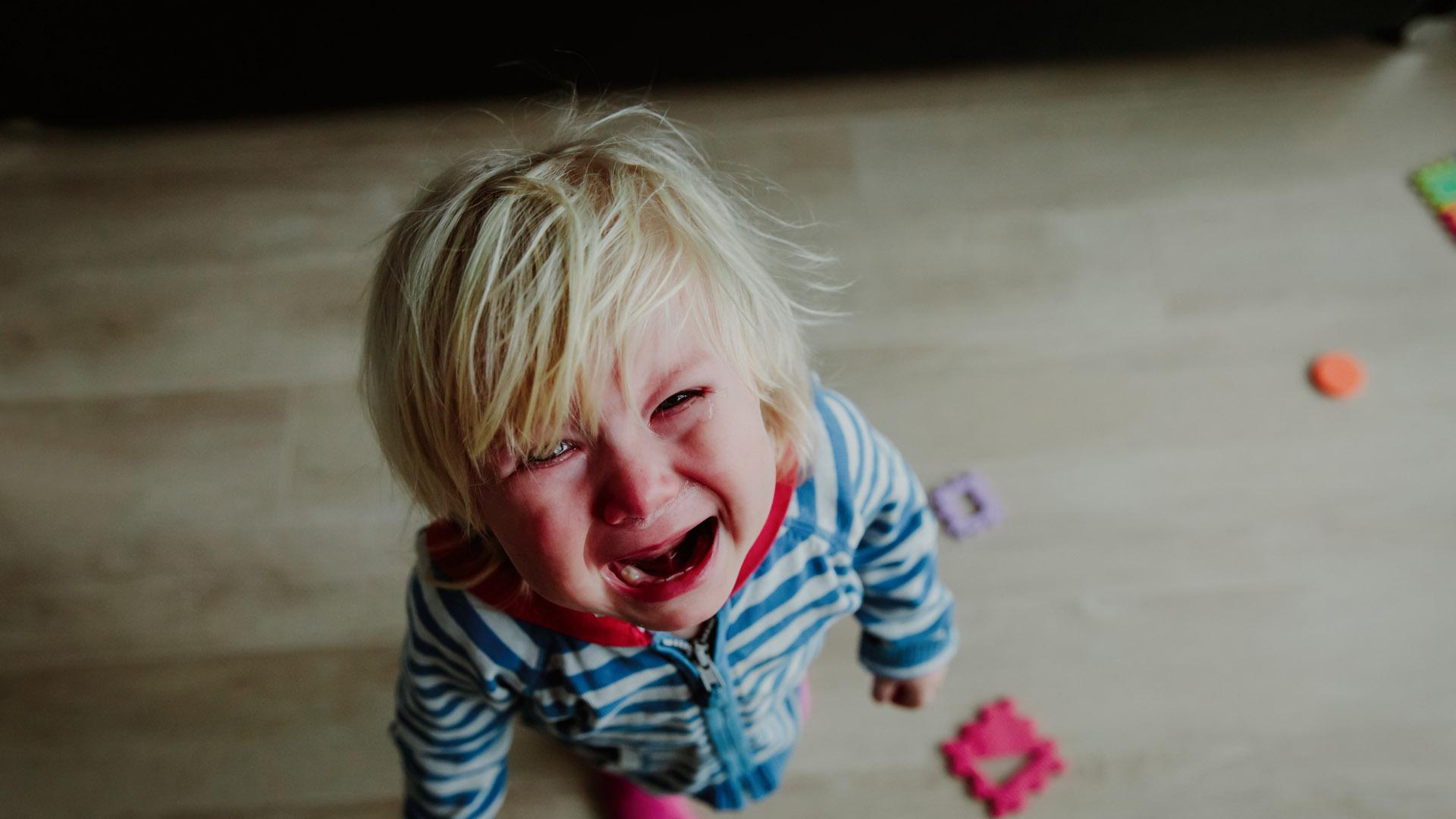 Durante la primera infancia se configuran las redes neuronales que intervienen en el desarrollo de nuestras emociones
