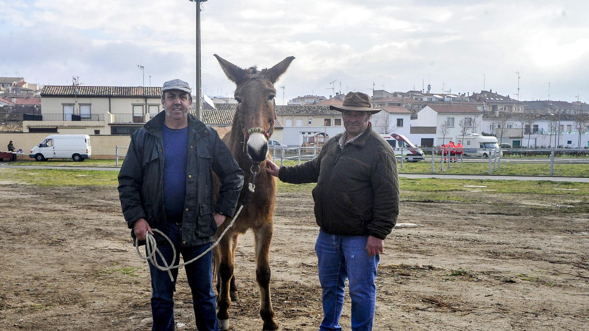 Óscar Carrato (izda.), y Pedro Fabo con Pelegrina este jueves en Tafalla en un recinto ferial vacío