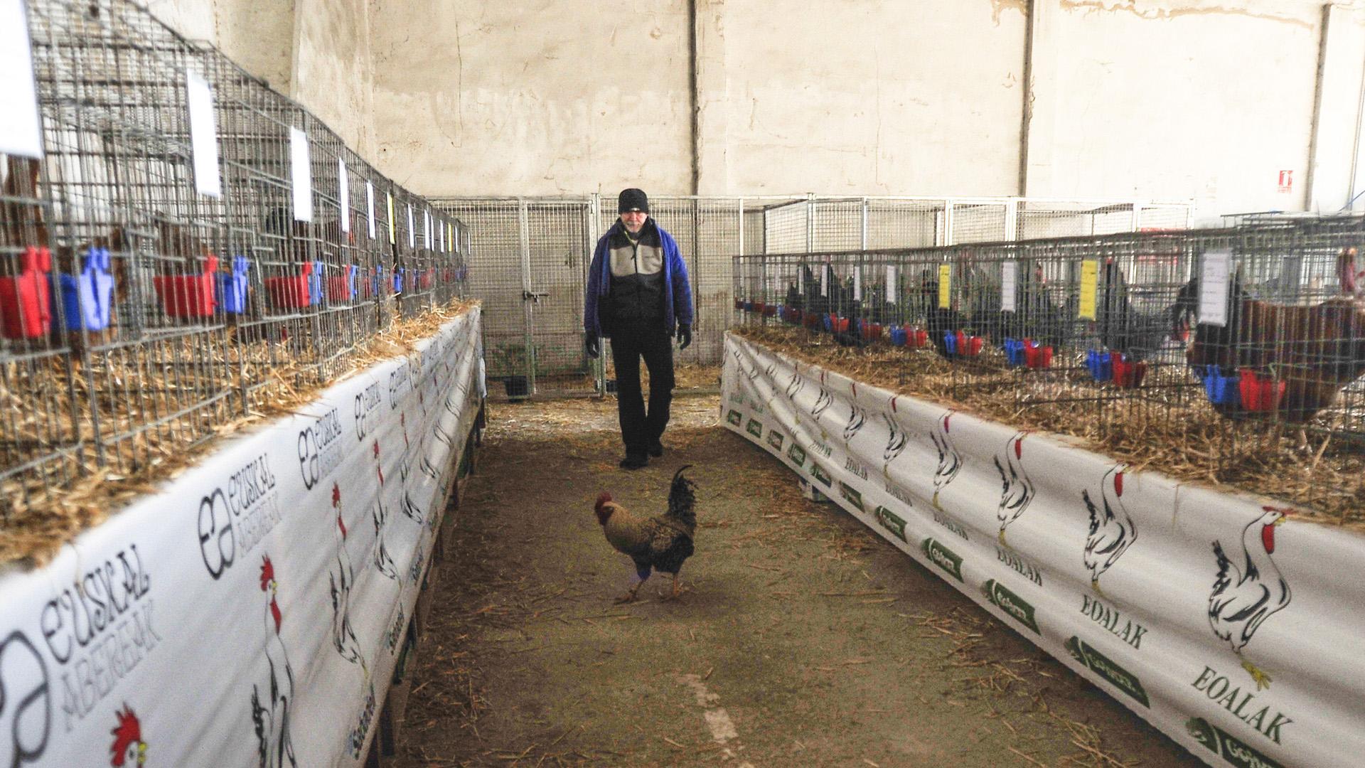 Los seiscientos animales se encuentran repartidos por la nave del recinto ferial abierta al público
