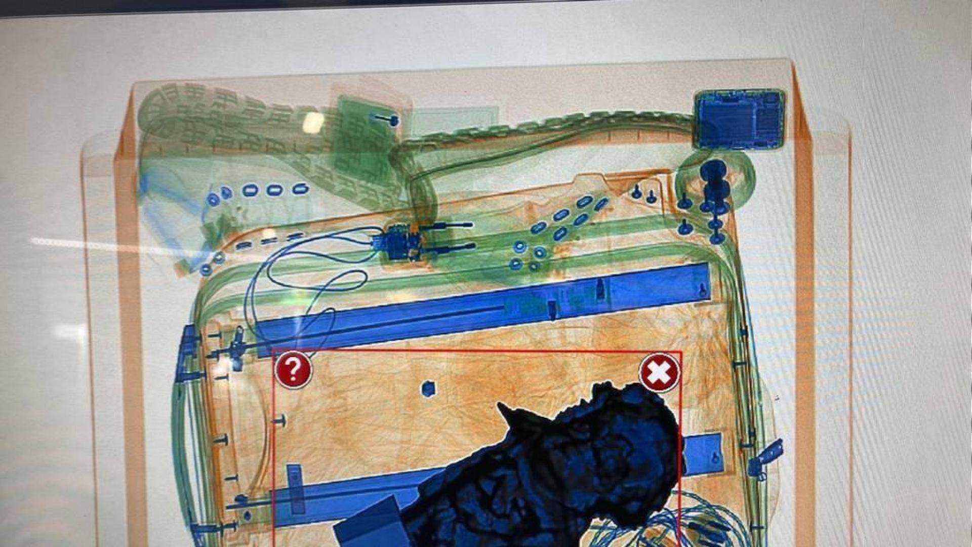 El Goya en la maleta de Raúl de la Fuente y Amaia Remírez a la vista del escáner en el aeropuerto
