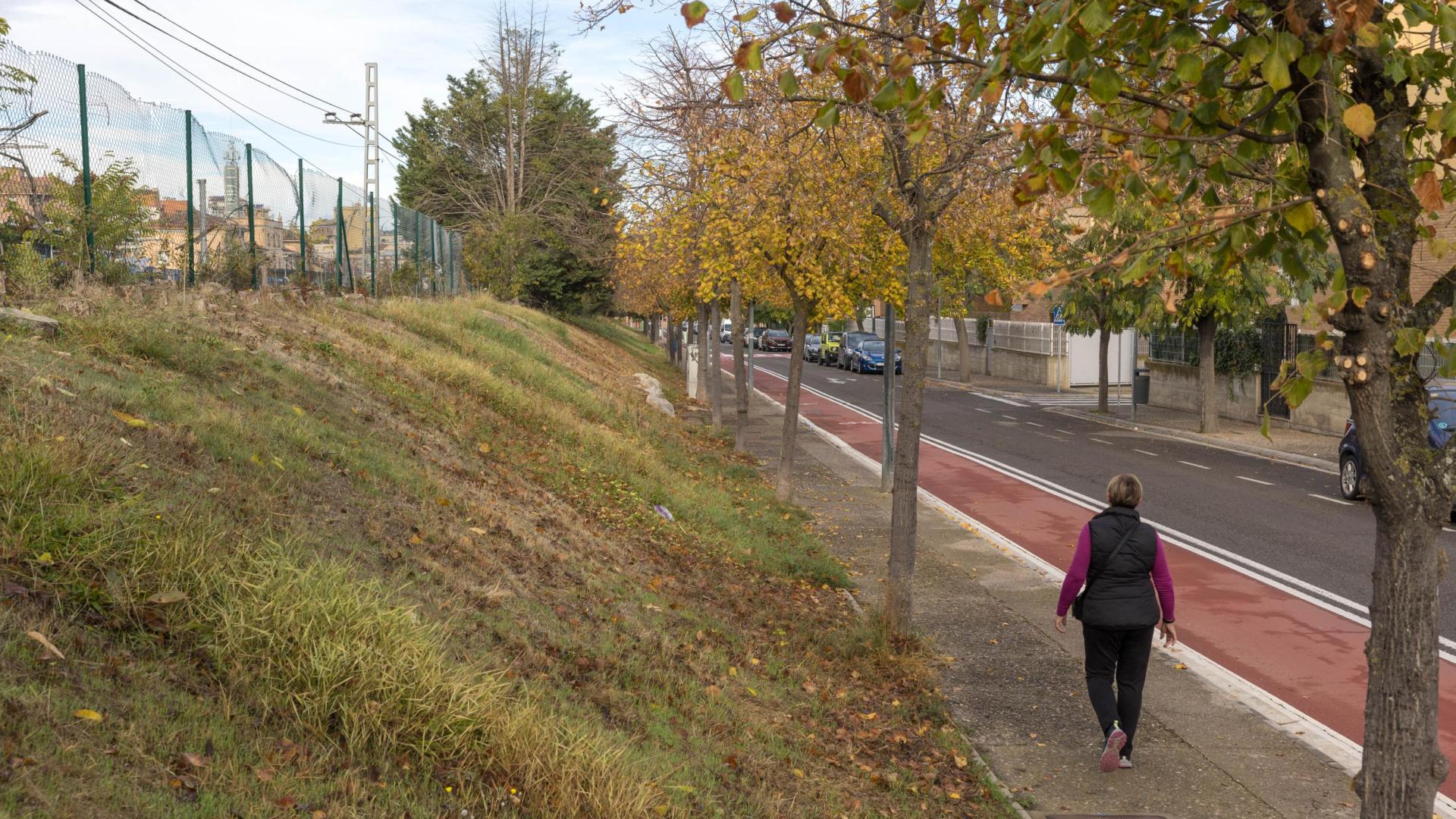 A: BLANCA ALDANONDO
F: 16/11/2022
P:
L: TUDELA
T: TALUD DE LAS VIAS DEL TREN EL LA ENTRADA AL BARRIO DE LA AZUCARERA, PASEO DE LOS TILOS