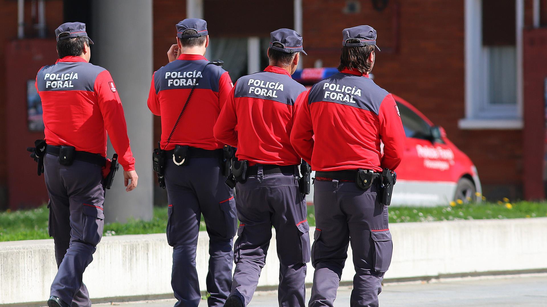Agentes de Policía Foral, en una imagen de archivo