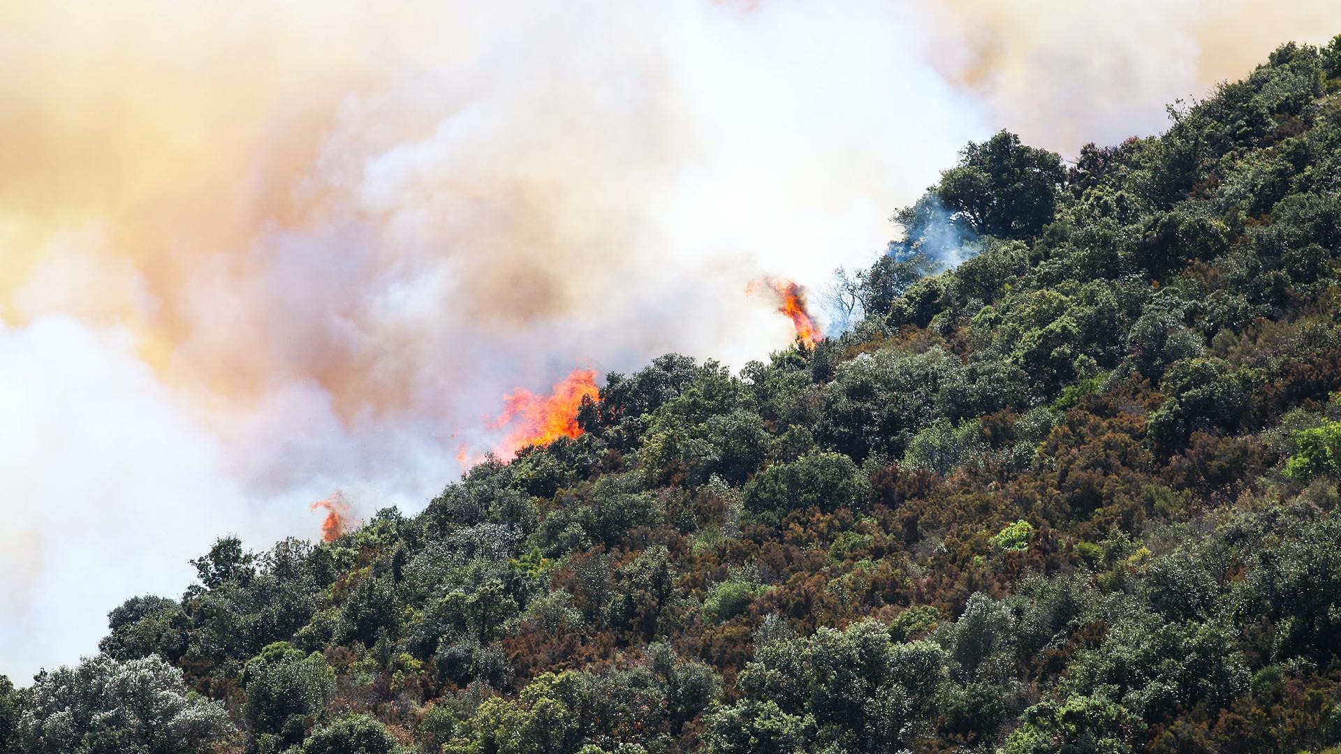 La proliferaración de bosques y matorrales aumenta el riesgo de incendios. Fuego cerca de Llançà (Girona) en julio de 2021.