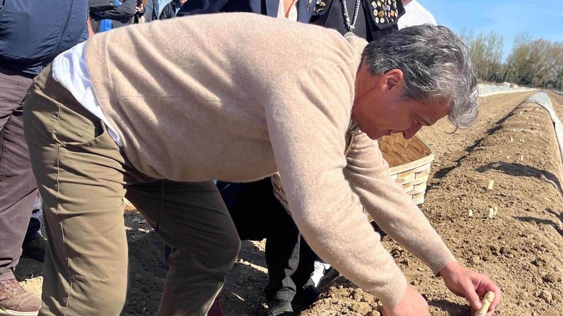 El chef y empresario gastronómico Carles Abellán, en la primera cata del espárrago de Navarra, este martes en Villafranca