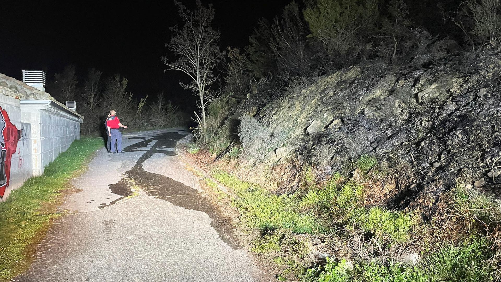Agentes de la Policía Foral junto a la zona calcinada por el fuego.