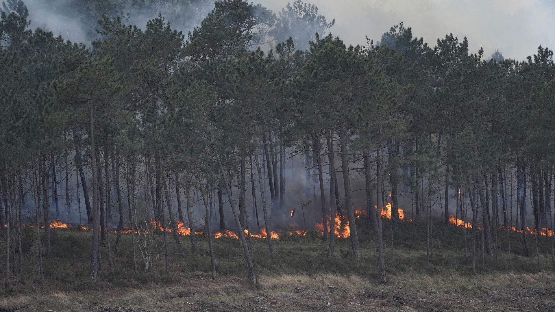 Llamas del incendio registrado este viernes en Luarca