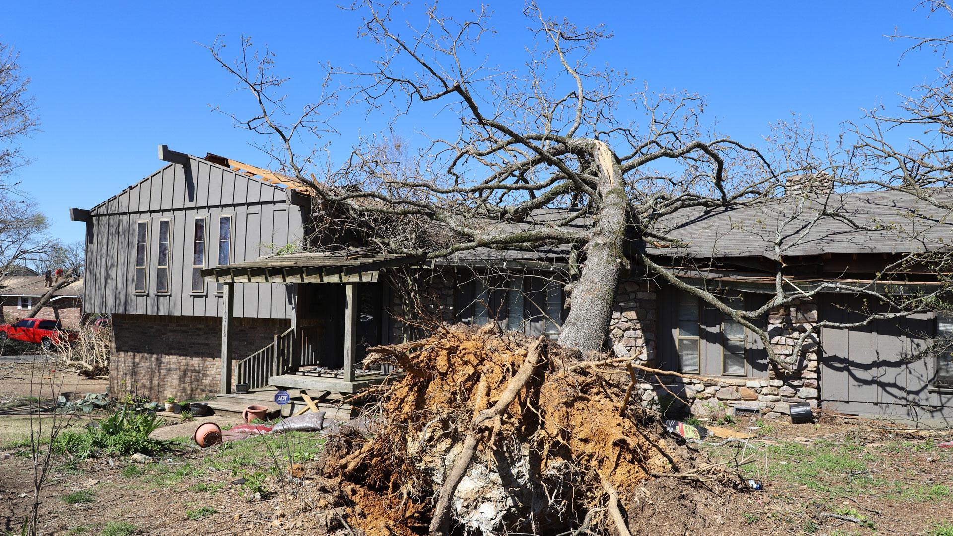 Un árbol arrancado de cuajo ha caído sobre el tejado de una vivienda en Arkansas