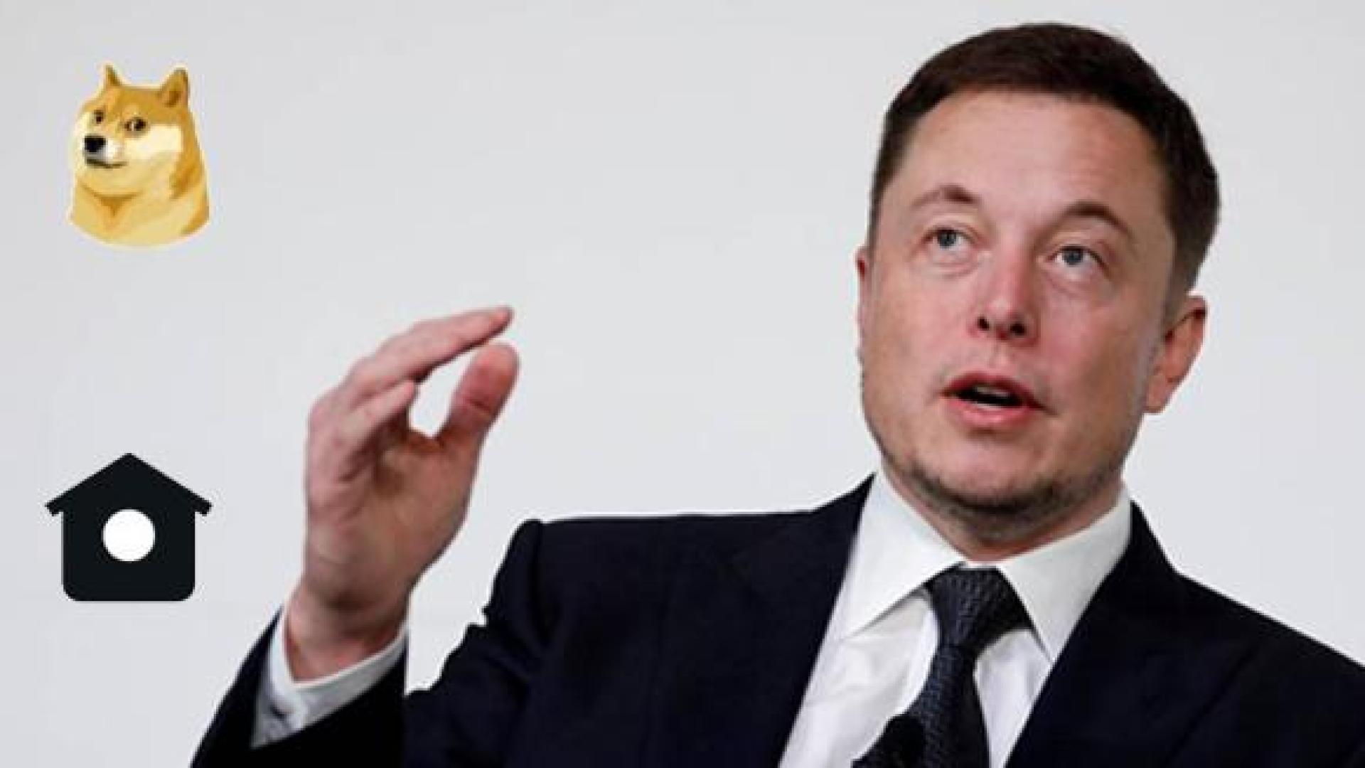 Elon Musk junto al nuevo logotipo, basado en la dogecoin