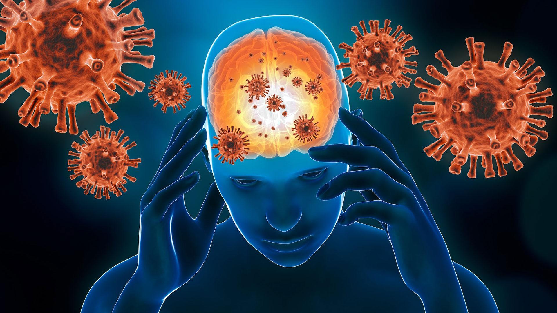 La inflamación del sistema nervioso central, conocida como neuroinflamación, se ha convertido en un blanco terapéutico importante para el tratamiento de las enfermedades neurodegenerativas