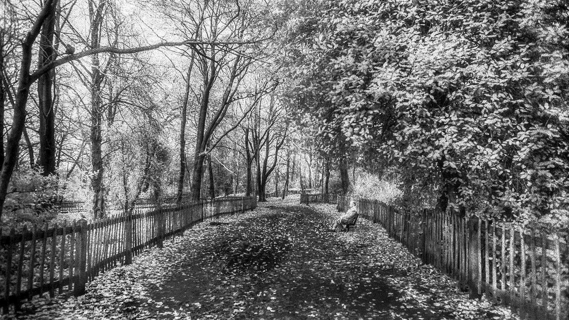 Holand Park, en Londres, fotografiado en 1979.