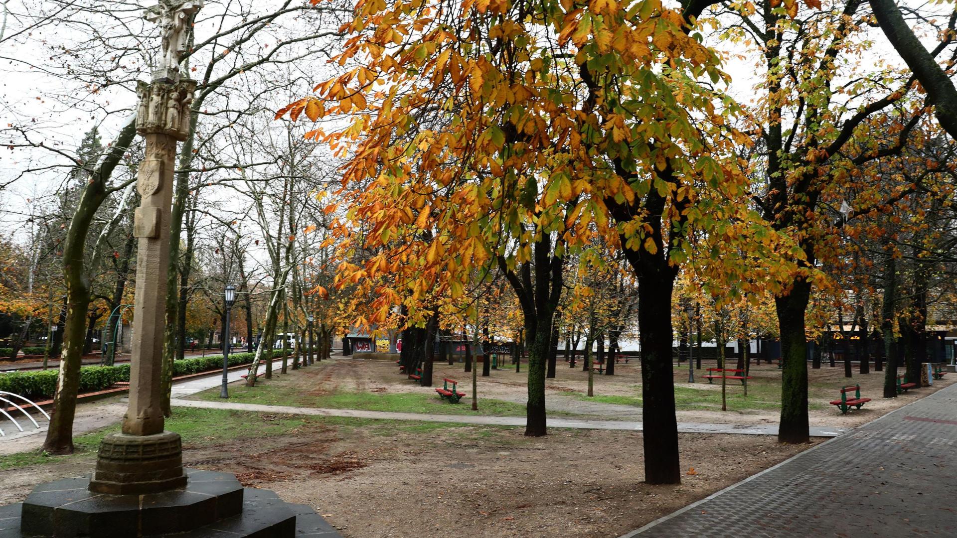 La agresión ocurrió en la zona de El Bosquecillo