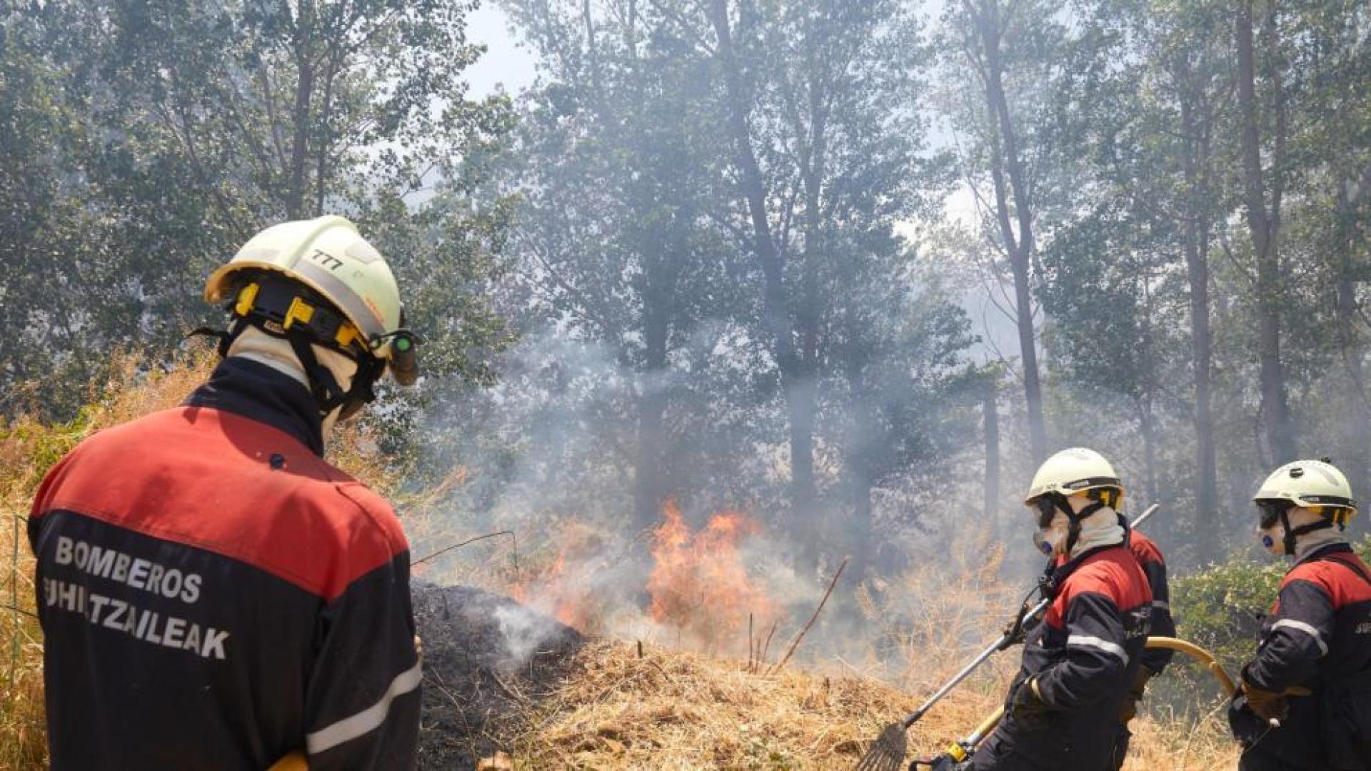 Tres bomberos trabajan en la extinción de un incendio registrado en junio de 2022 en la zona de El Perdón