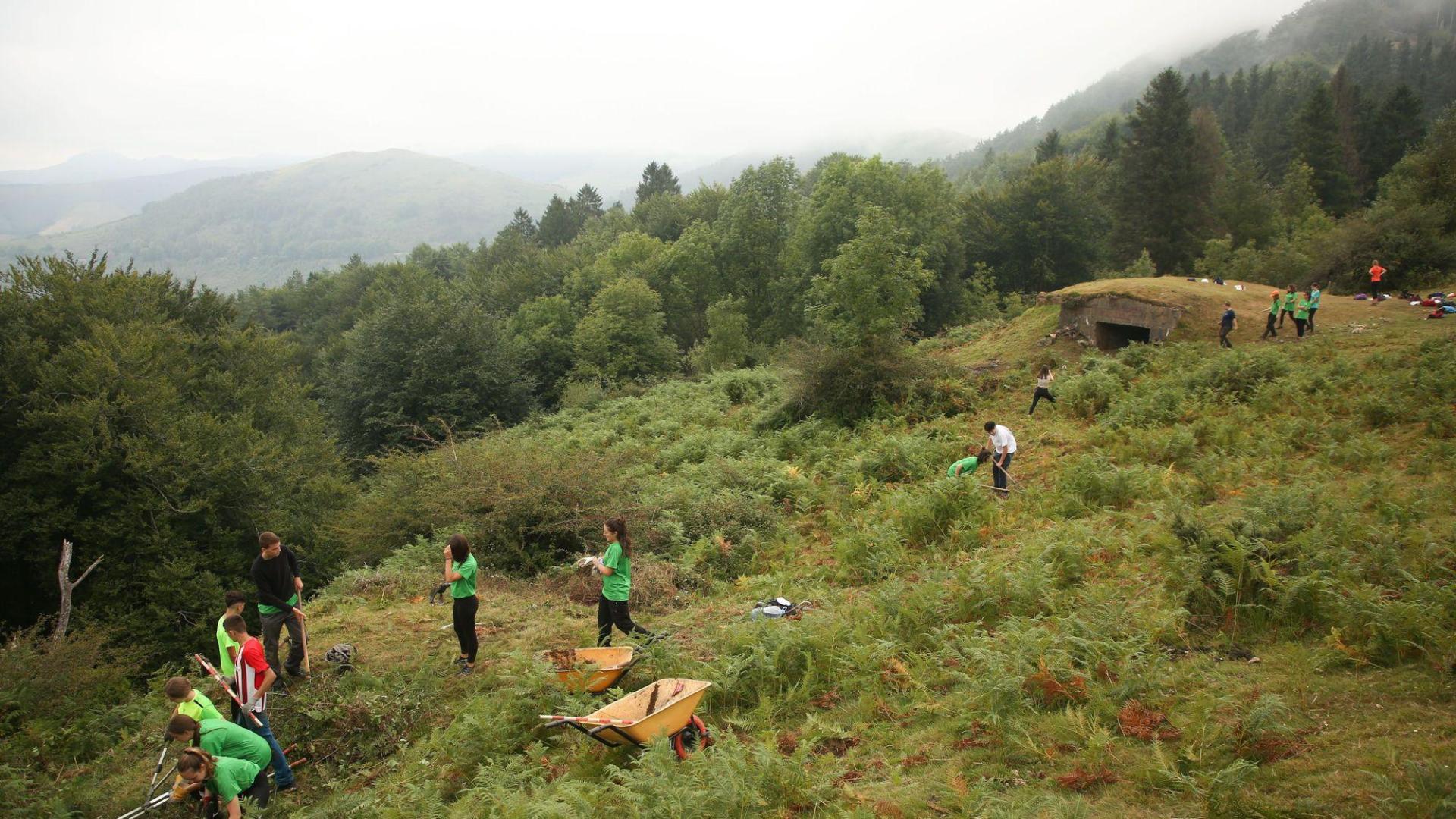 Imagen de un campo de voluntariado anterior