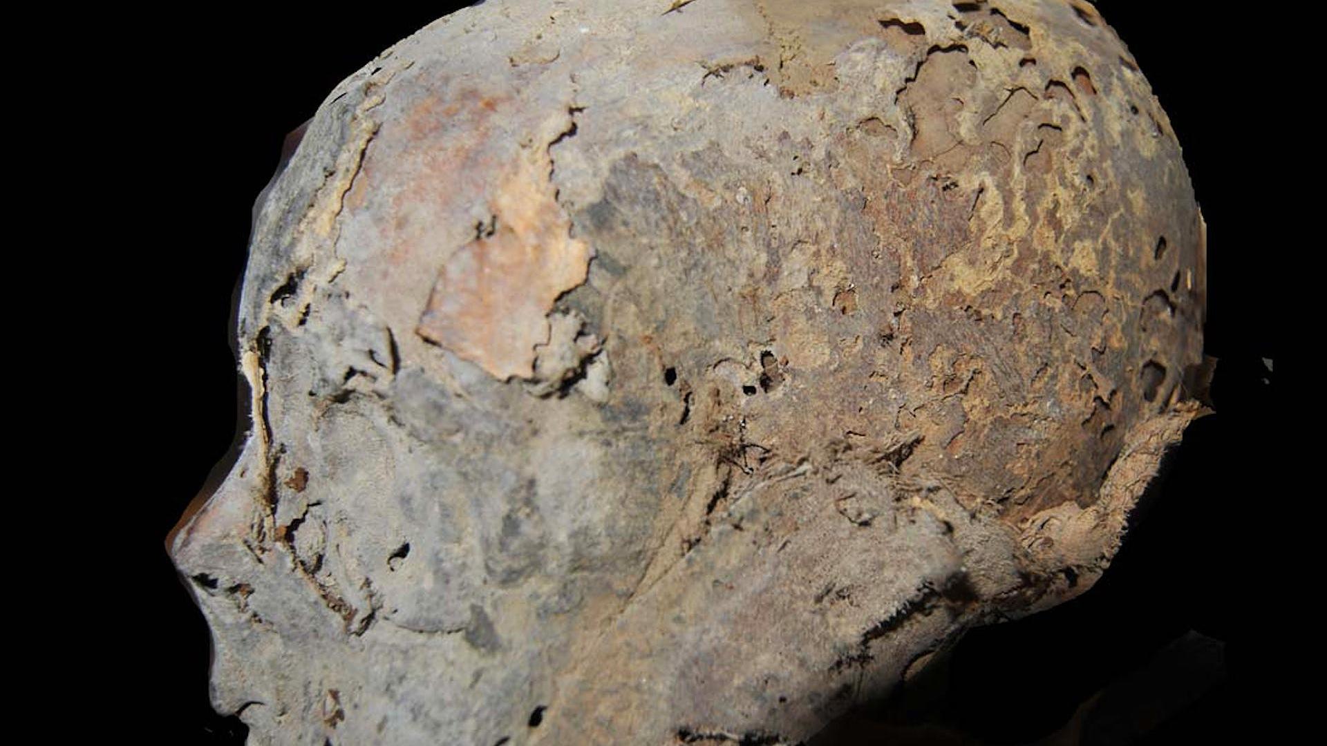 Cabeza momificada de doña Leonor de Castilla