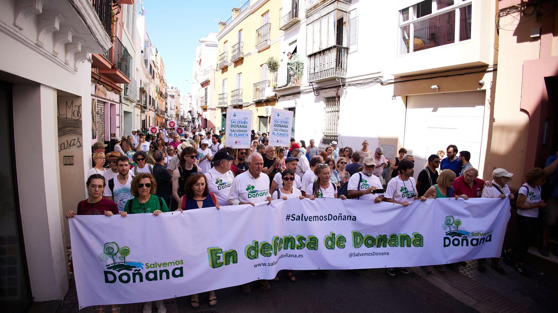 Este domingo se ha celebrado en Sevilla la manifestación 'En defensa de Doñana' convocada por la Plataforma Salvemos Doñana