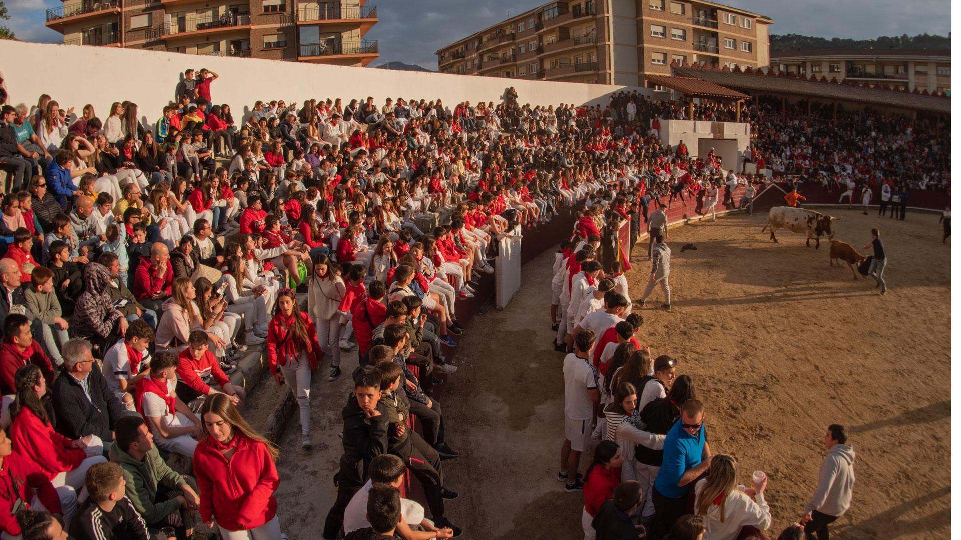 La plaza de toros de Estella, con las gradas llenas de jóvenes en las vaquillas del sábado por la tarde