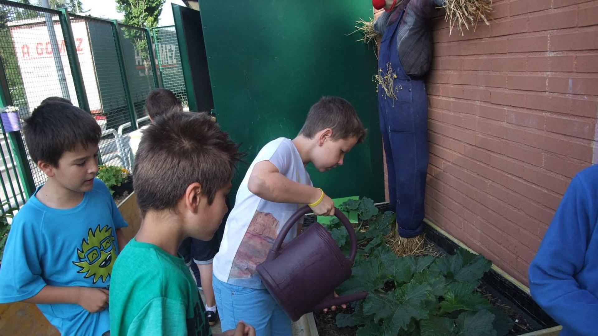 La actividad se refuerza con un encuentro que cada año organiza el Museo de Educación Ambiental
