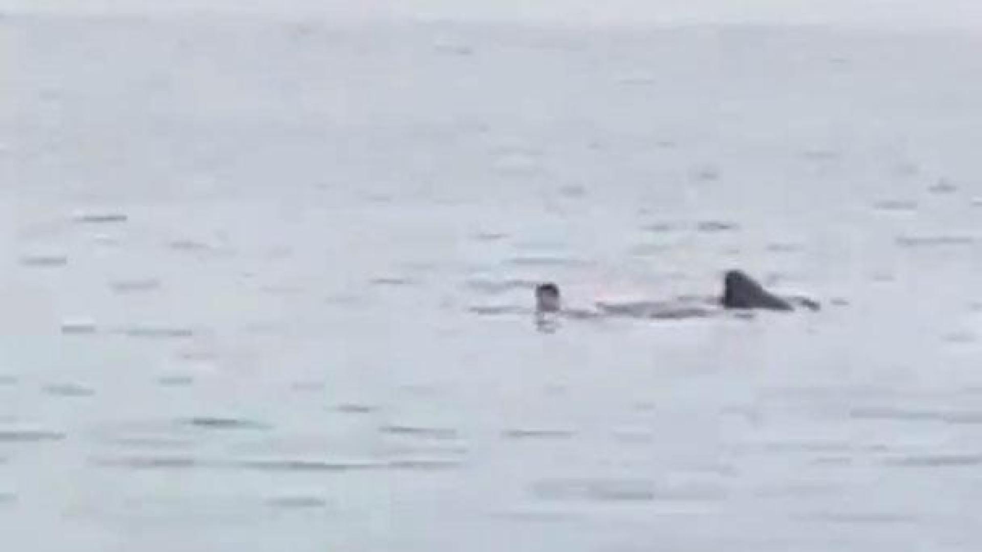 El bañista, junto al tiburón en el momento del ataque