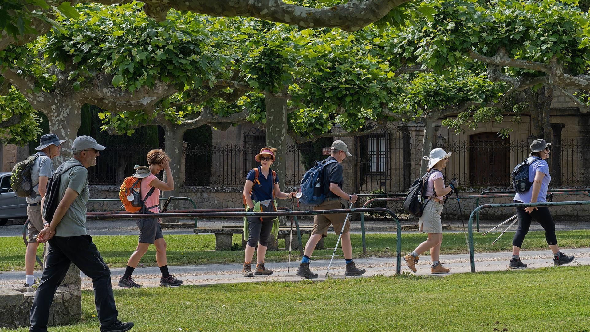 Un grupo de caminantes transita por el entorno del Monasterio de Irache, lugar muy concurrido con la llegada del buen tiempo