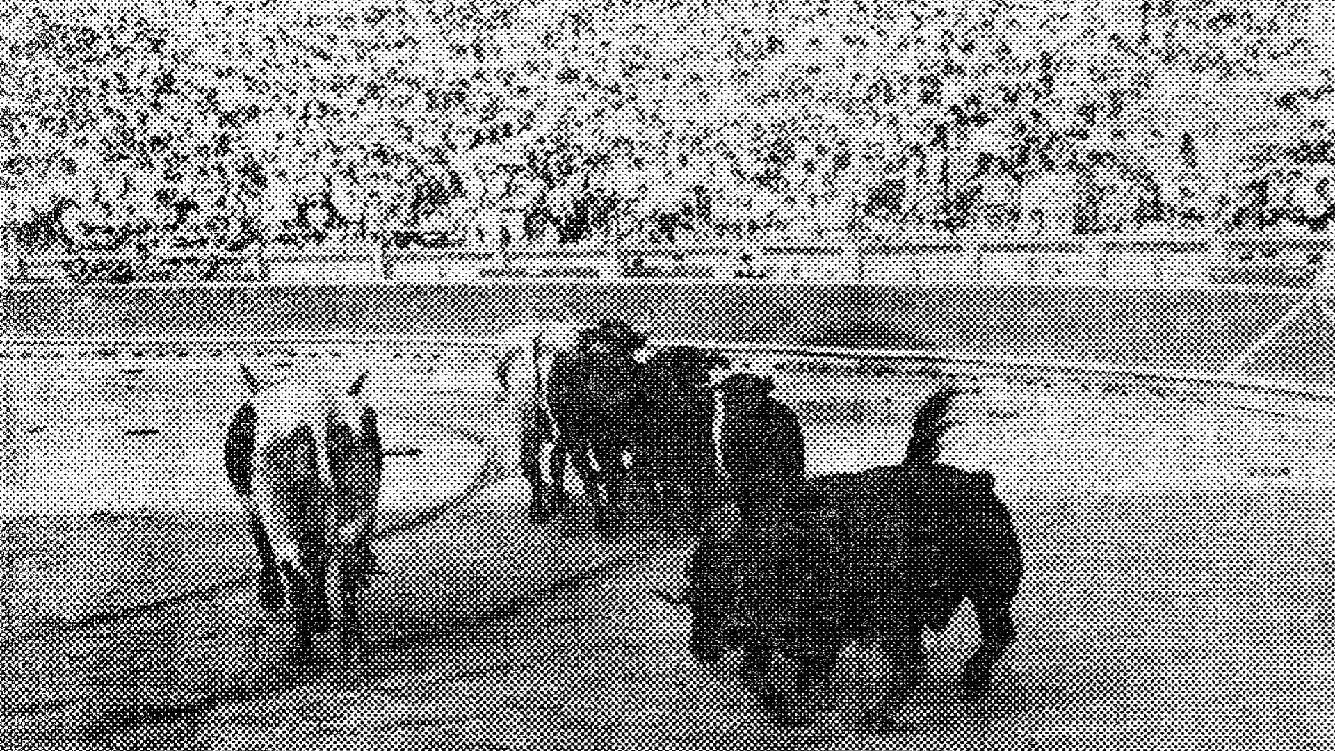 Quinto toro de la tarde que se rompió por varios sitios en una difícil acrobacia, sigue con
dificultad a los mansos, camino de los corrales donde le esperaba el tiro de gracia