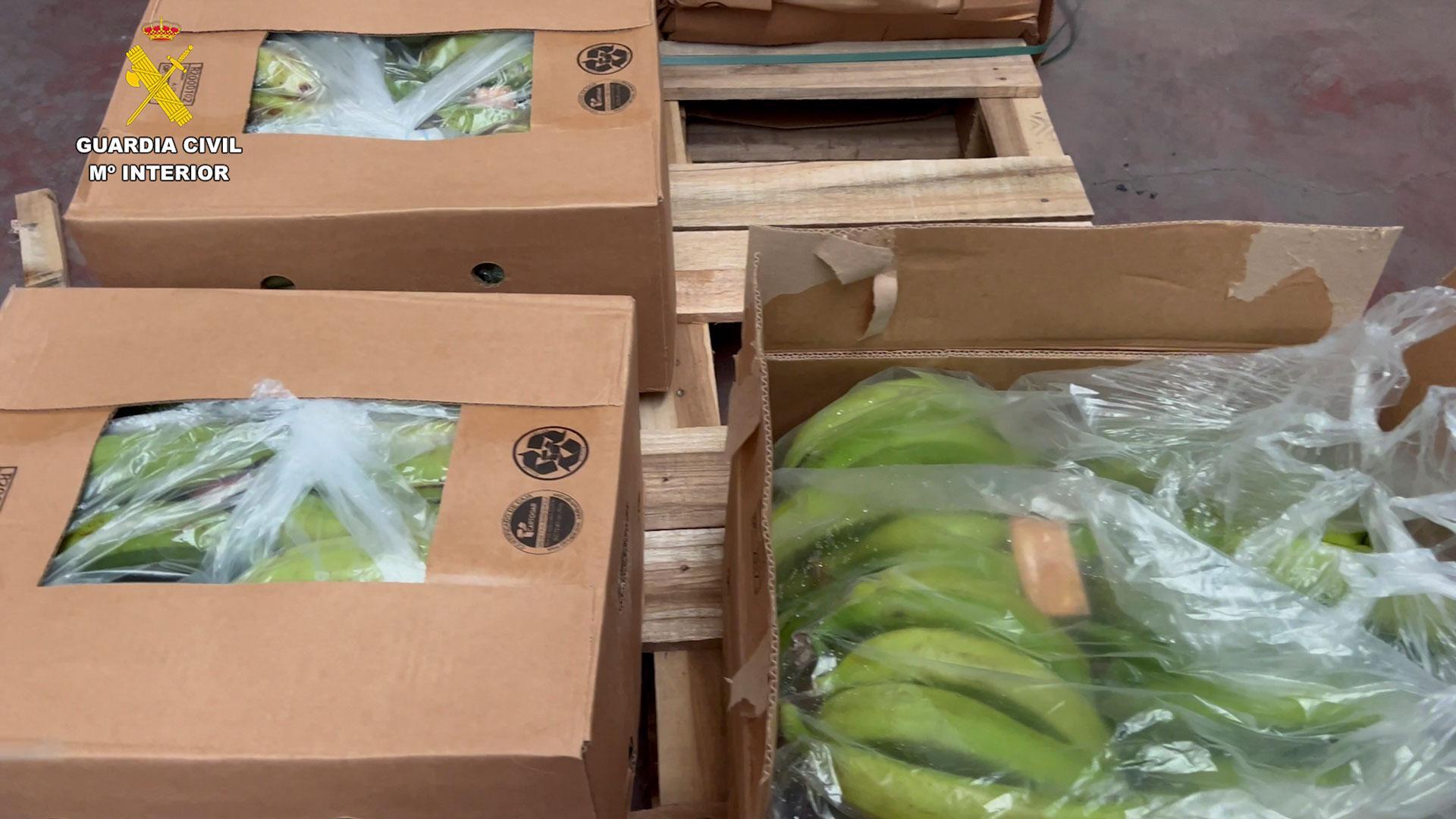 Se han incautado más de 6,5 toneladas de cocaína tras el registro de varios domicilios en Algeciras, Málaga y Castellar de la Frontera (Cádiz)