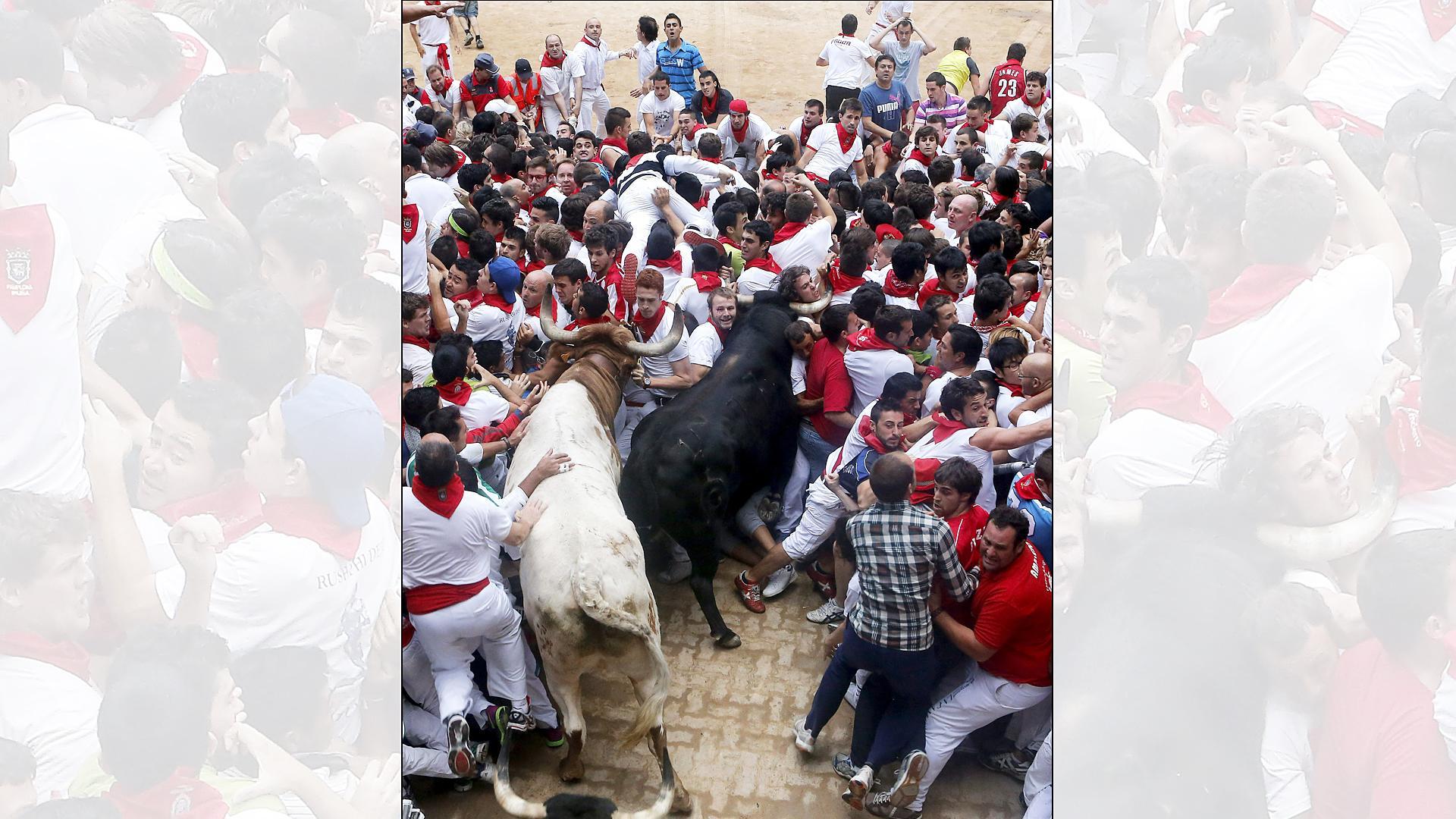 ‘Incapaz’, el primer toro de Fuente Ymbro en acceder a la plaza, se empotró contra la muralla humana levantada en acceso al coso
